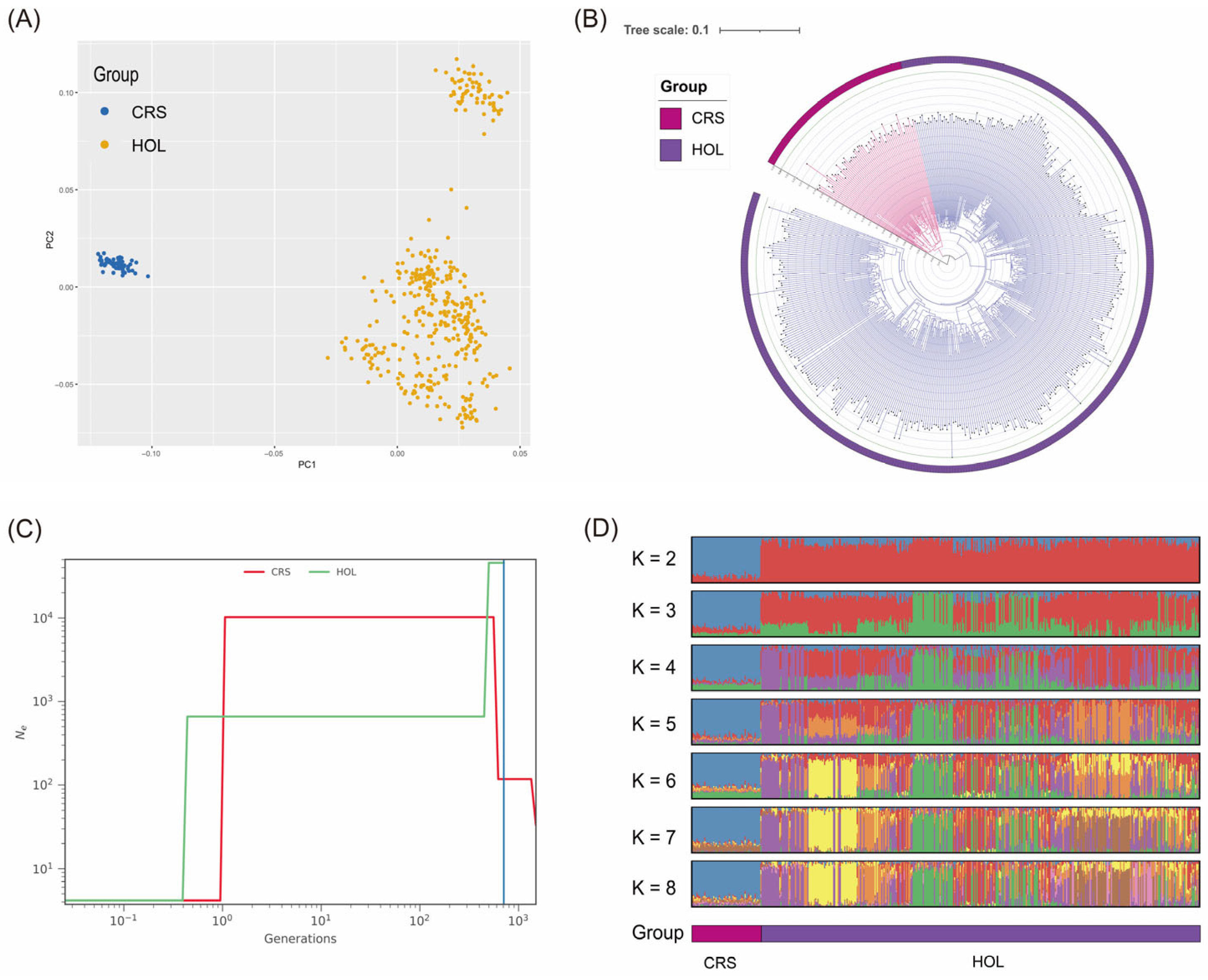 Animals 15 02516 g001 Animals 15 02516 g001