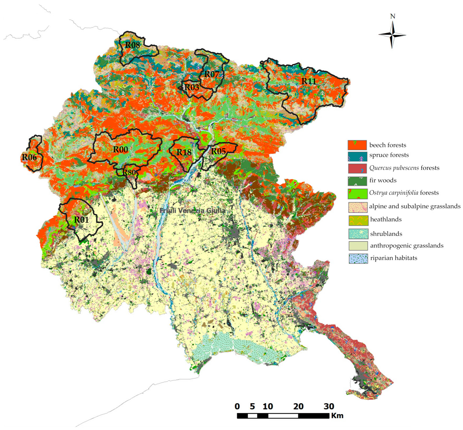 Animals 15 02517 g001