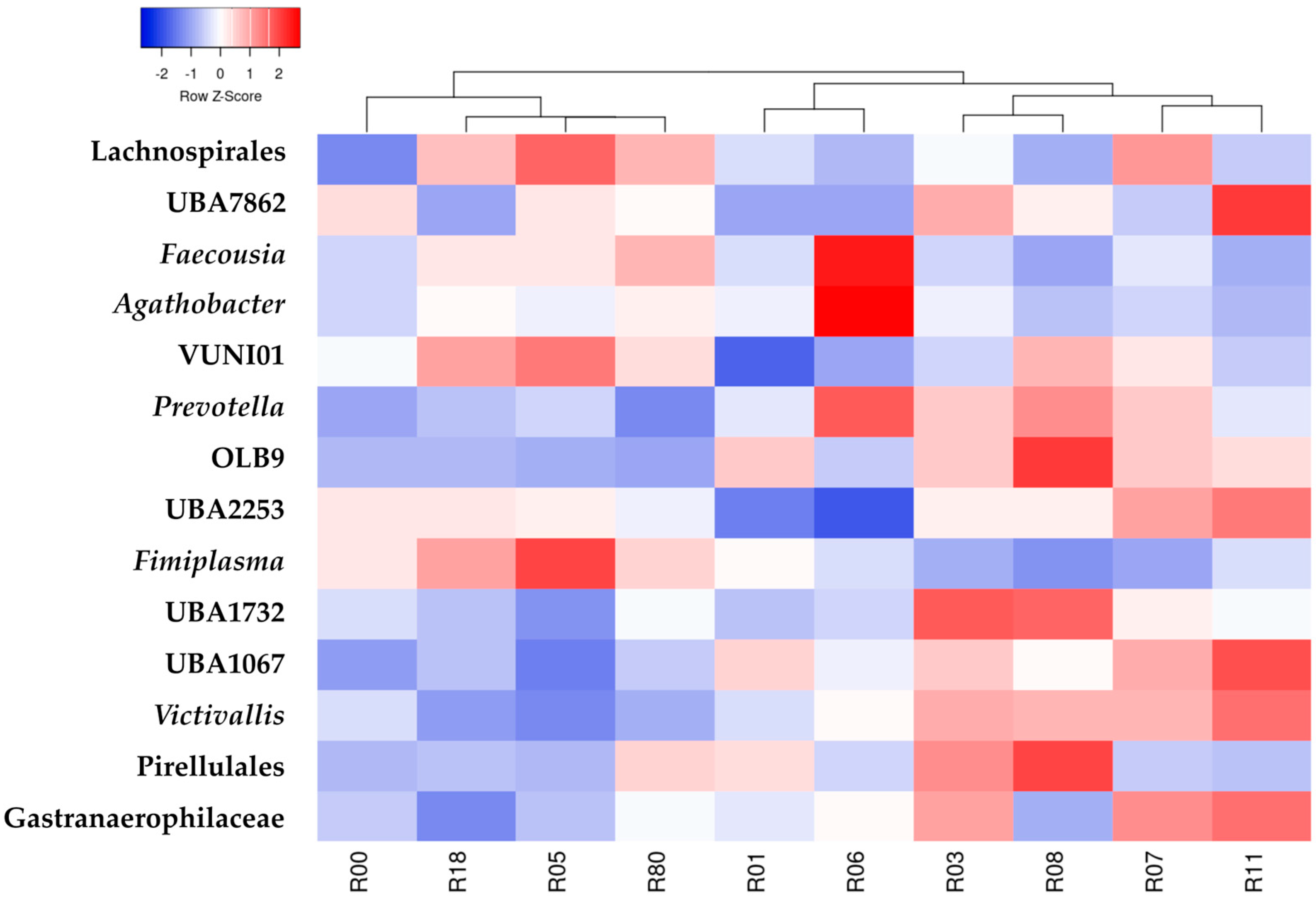 Animals 15 02517 g006