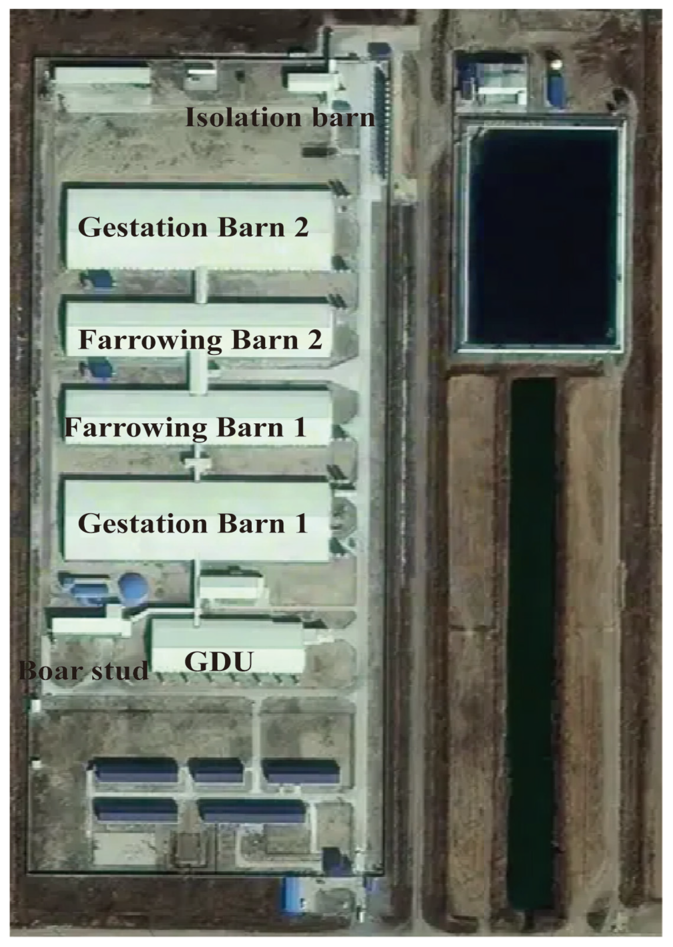 Animals 15 02521 g001 Animals 15 02521 g001