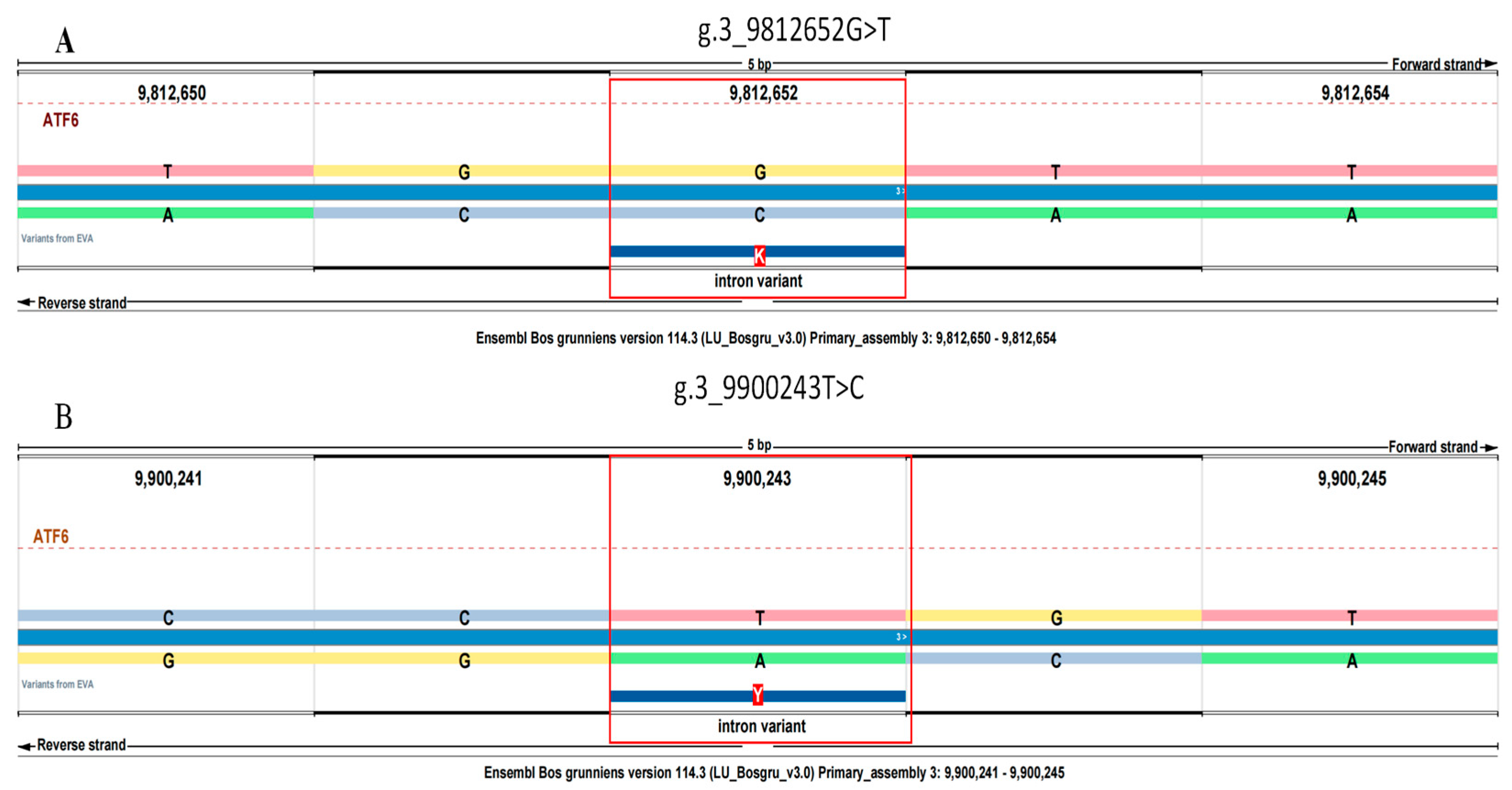 Animals 15 02524 g001