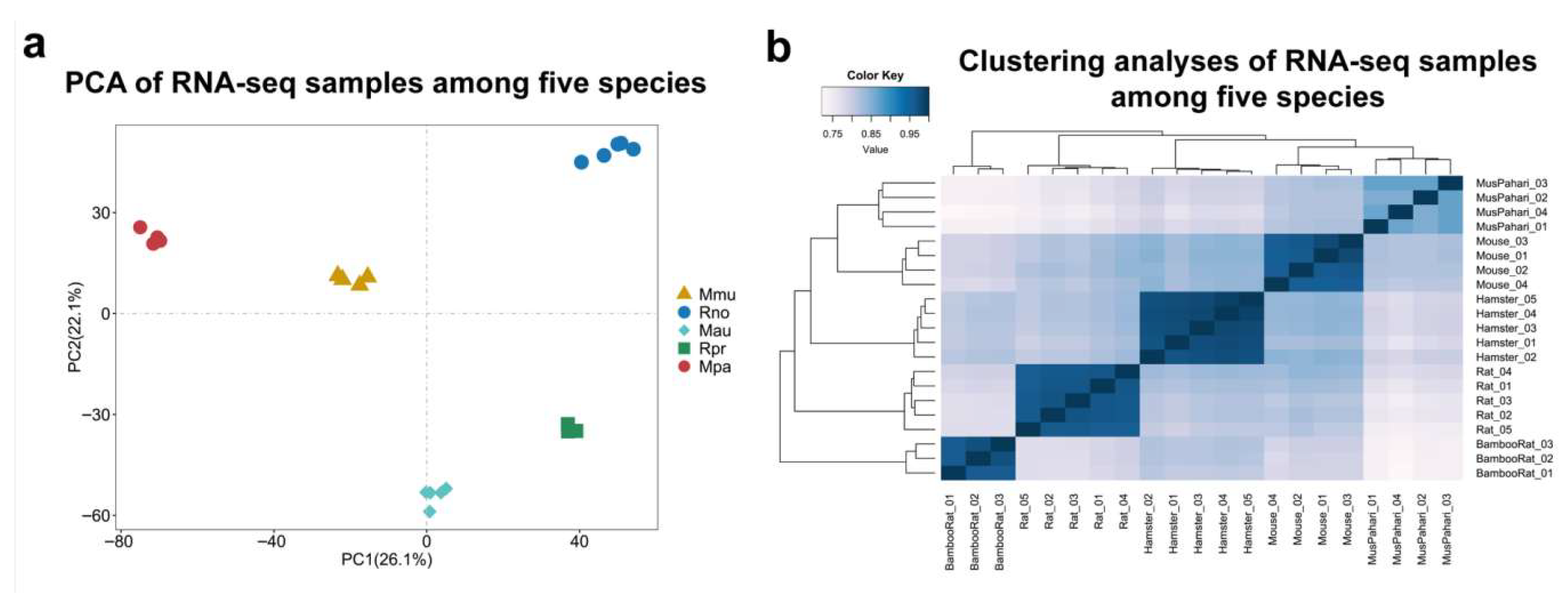 Animals 15 02526 g001 Animals 15 02526 g001