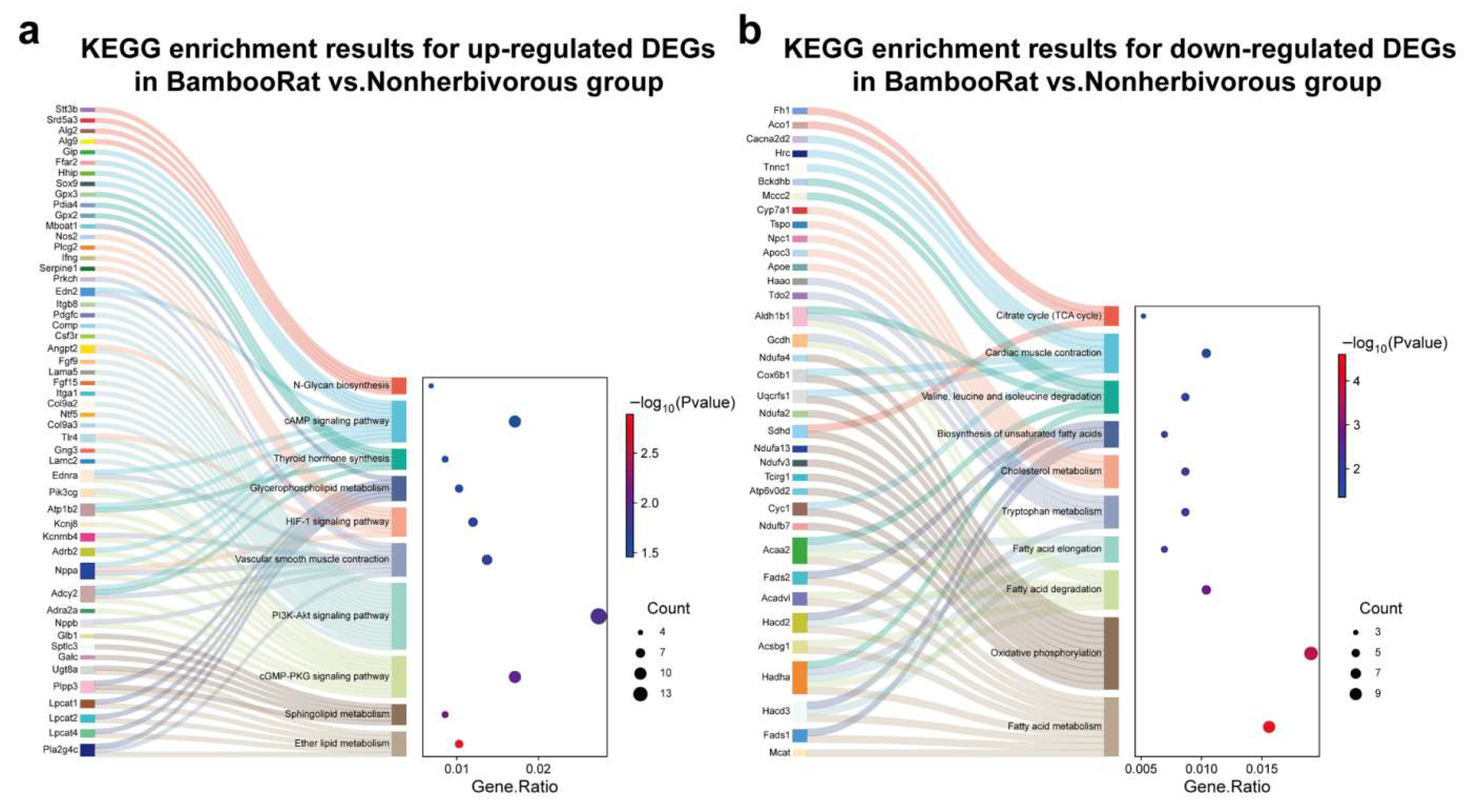 Animals 15 02526 g002 Animals 15 02526 g002
