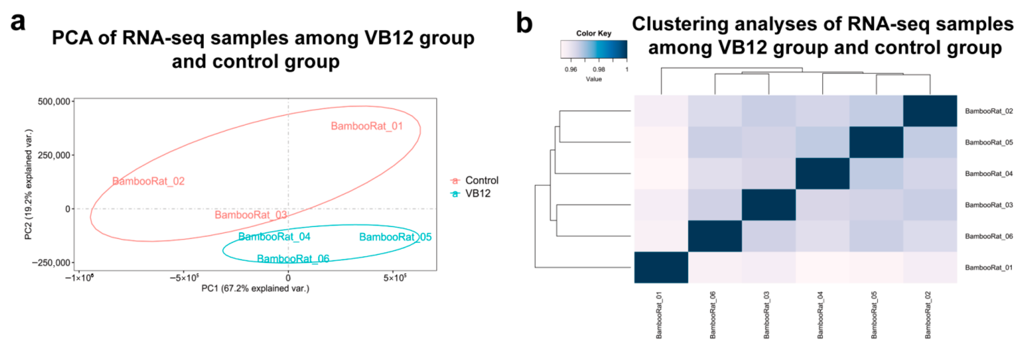 Animals 15 02526 g004 Animals 15 02526 g004