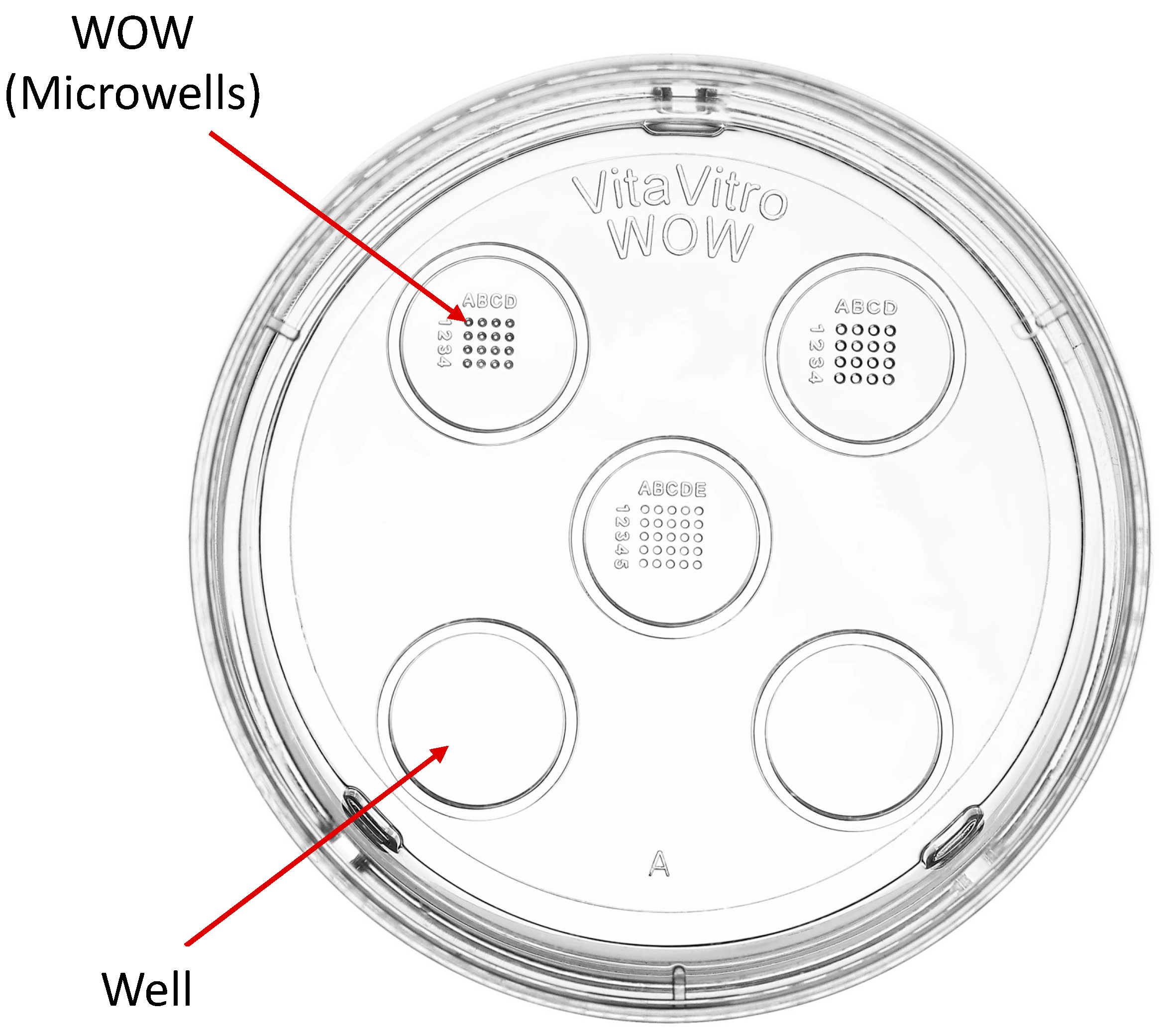Animals 15 02528 g001