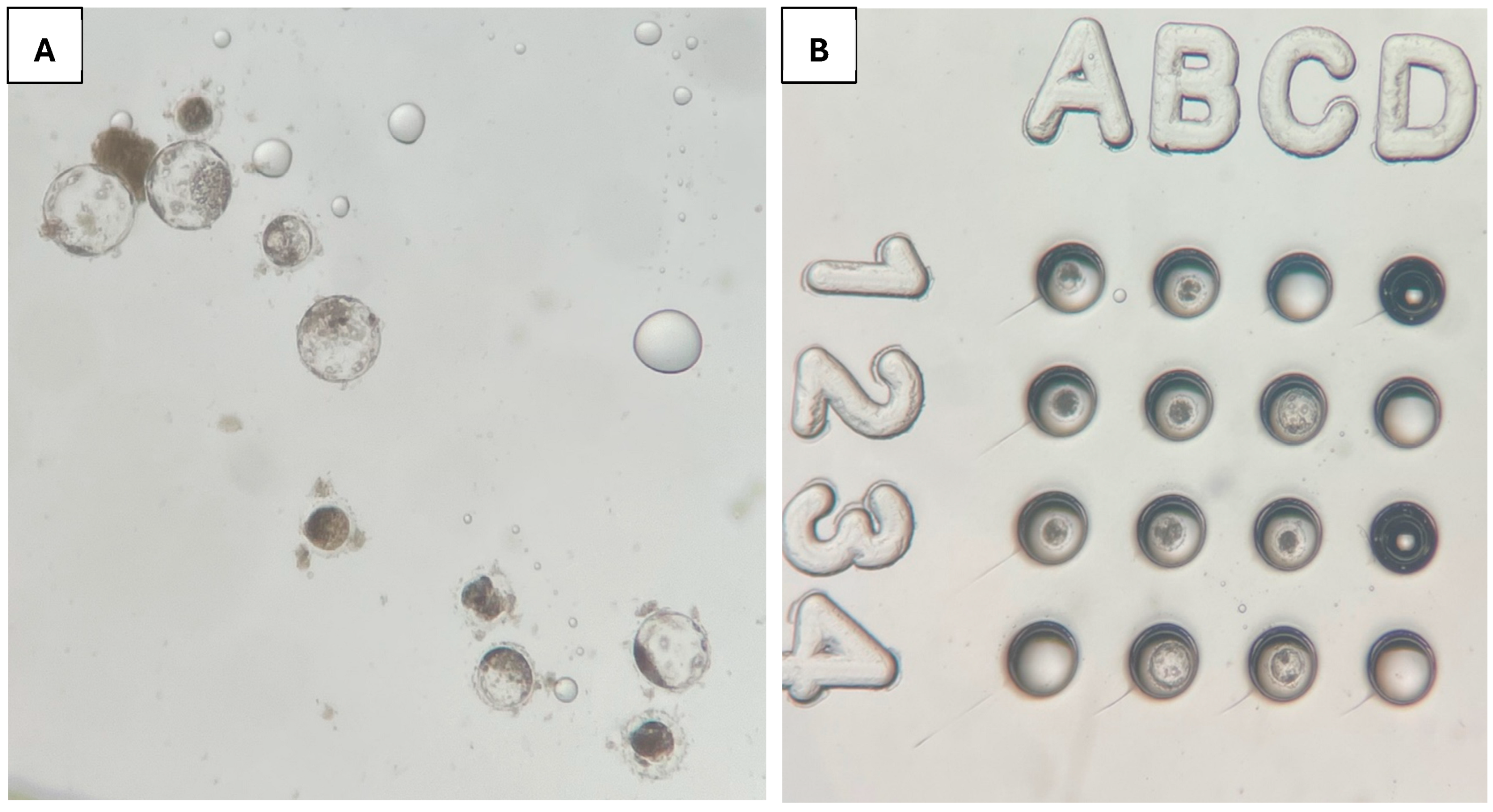 Animals 15 02528 g005