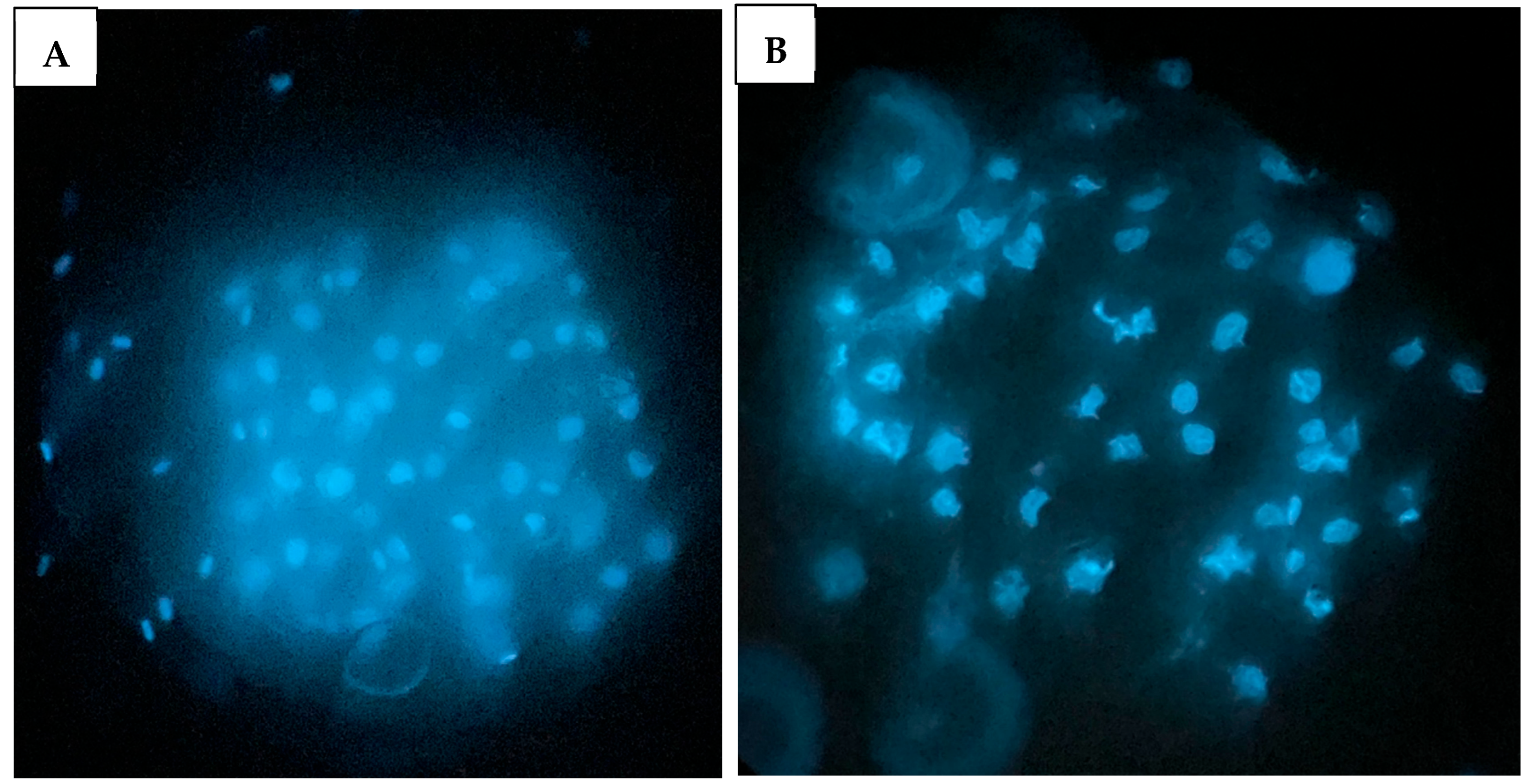 Animals 15 02528 g010