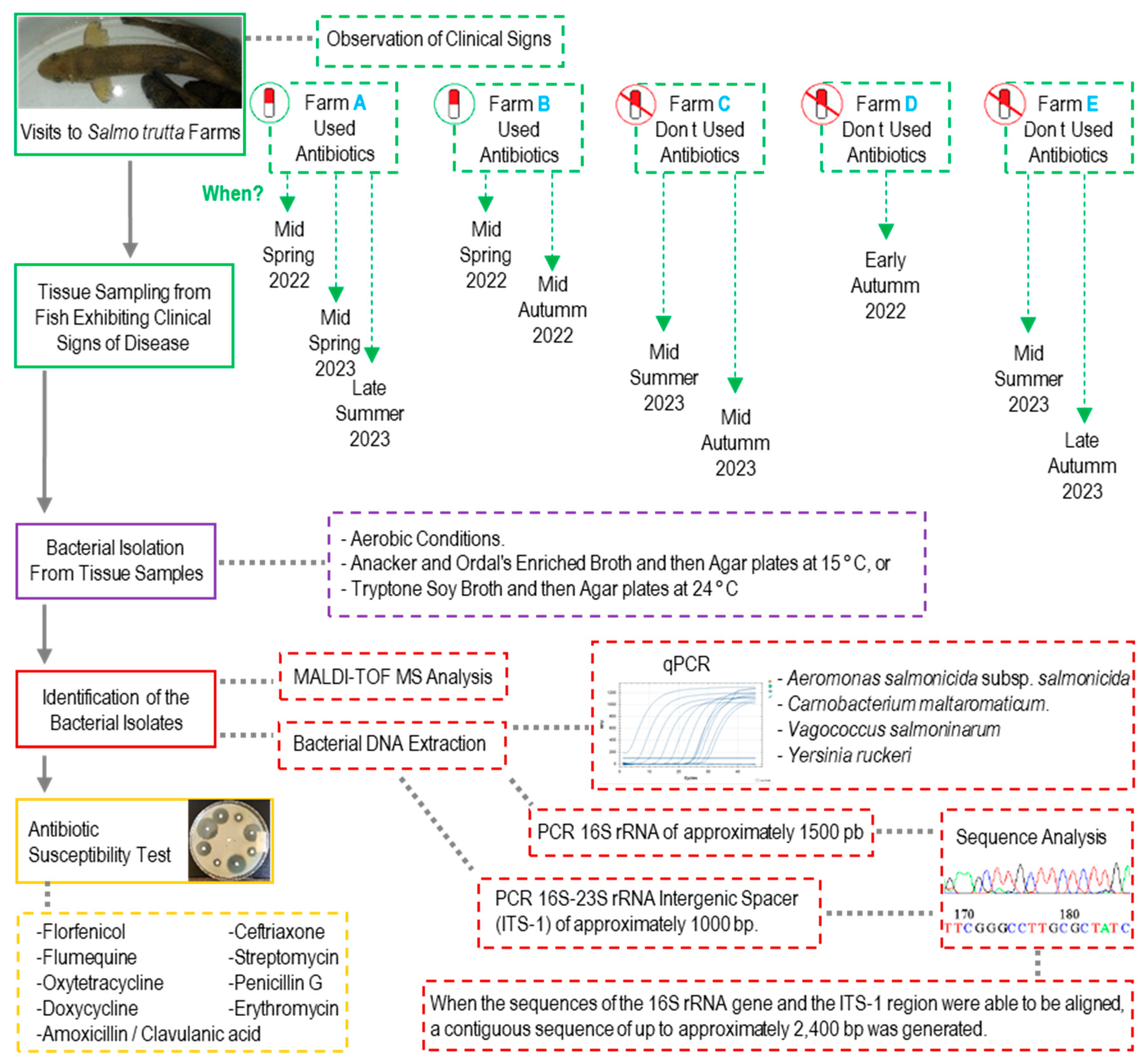 Animals 15 02532 g002 Animals 15 02532 g002