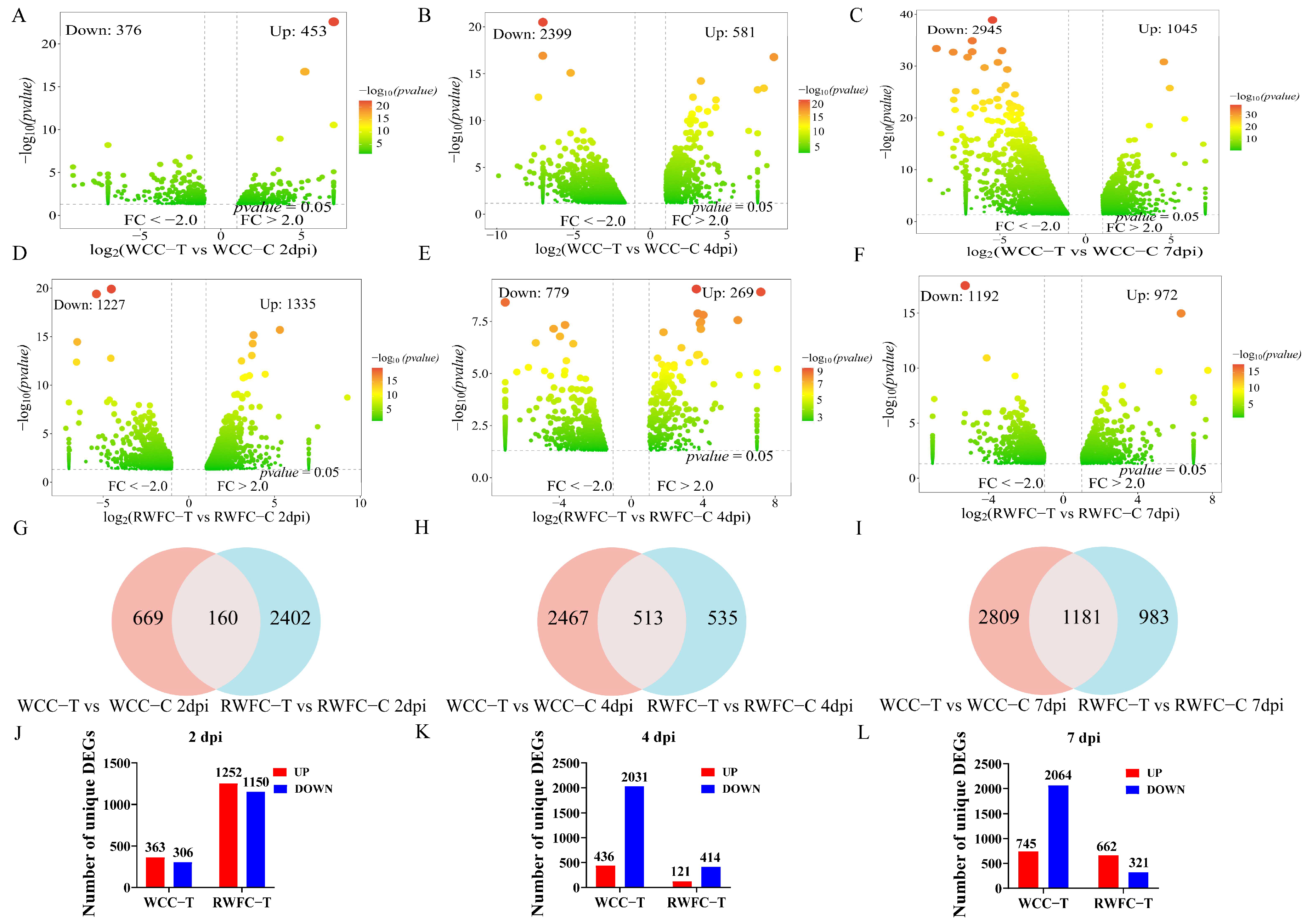 Animals 15 02533 g005