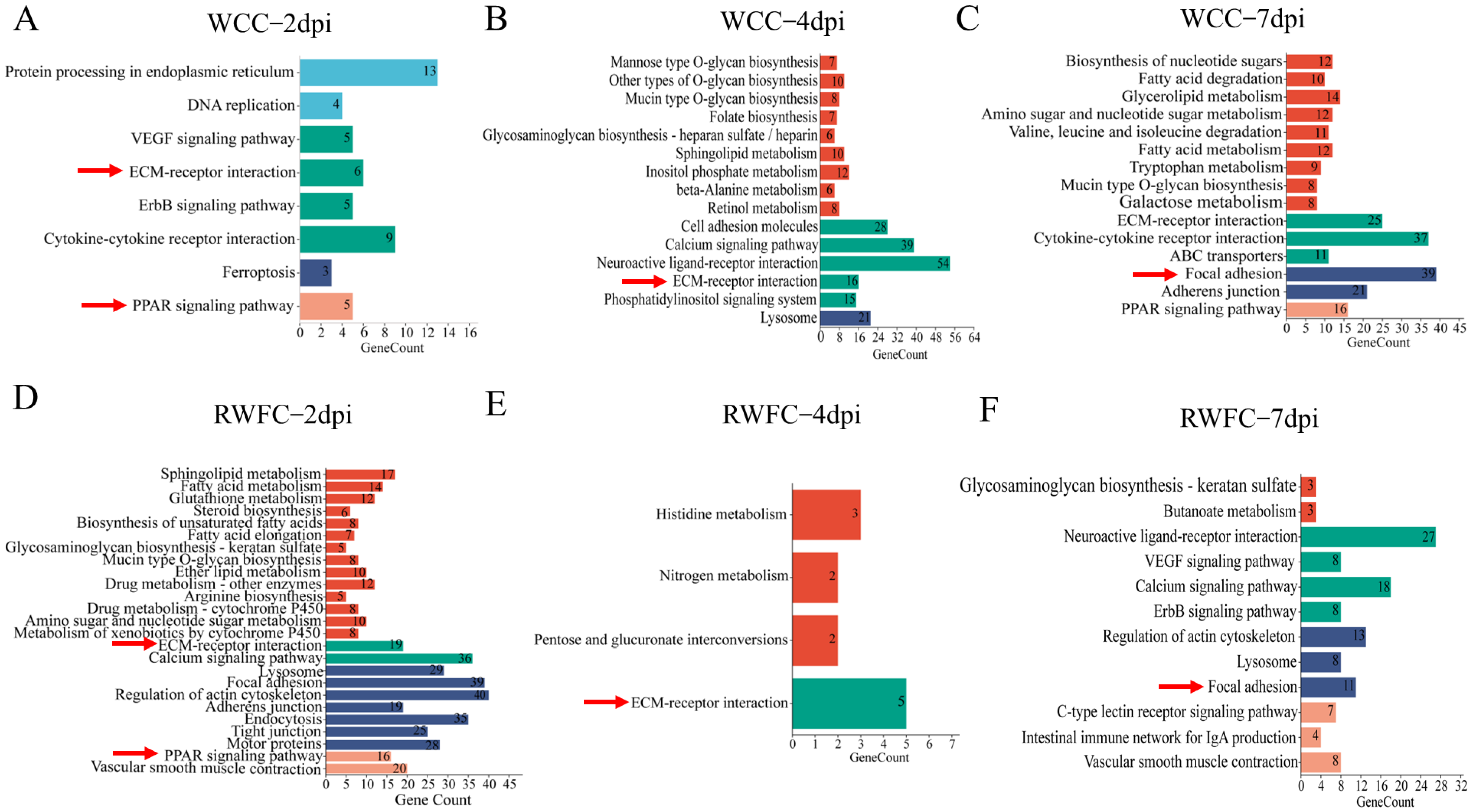 Animals 15 02533 g006