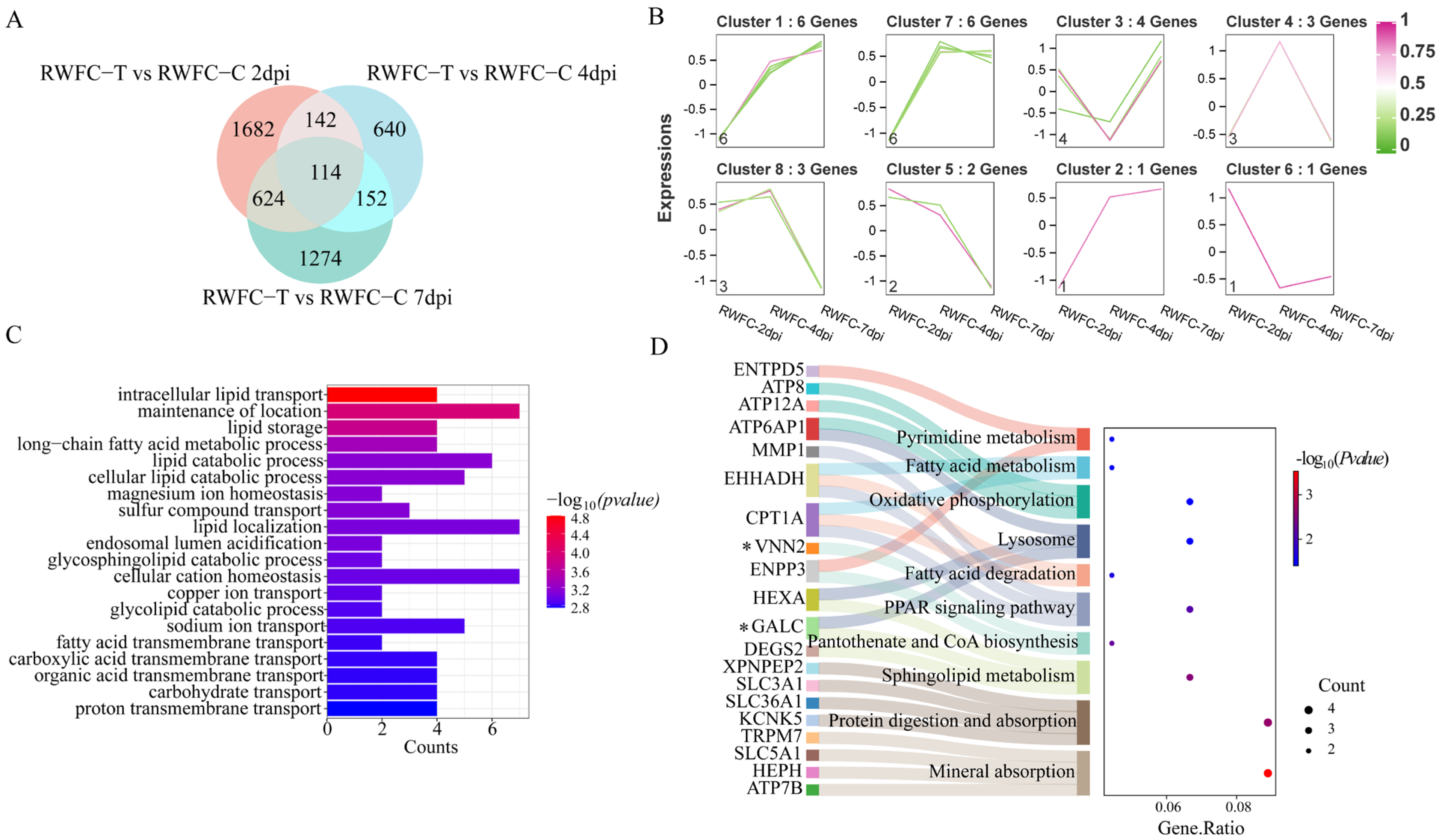 Animals 15 02533 g009