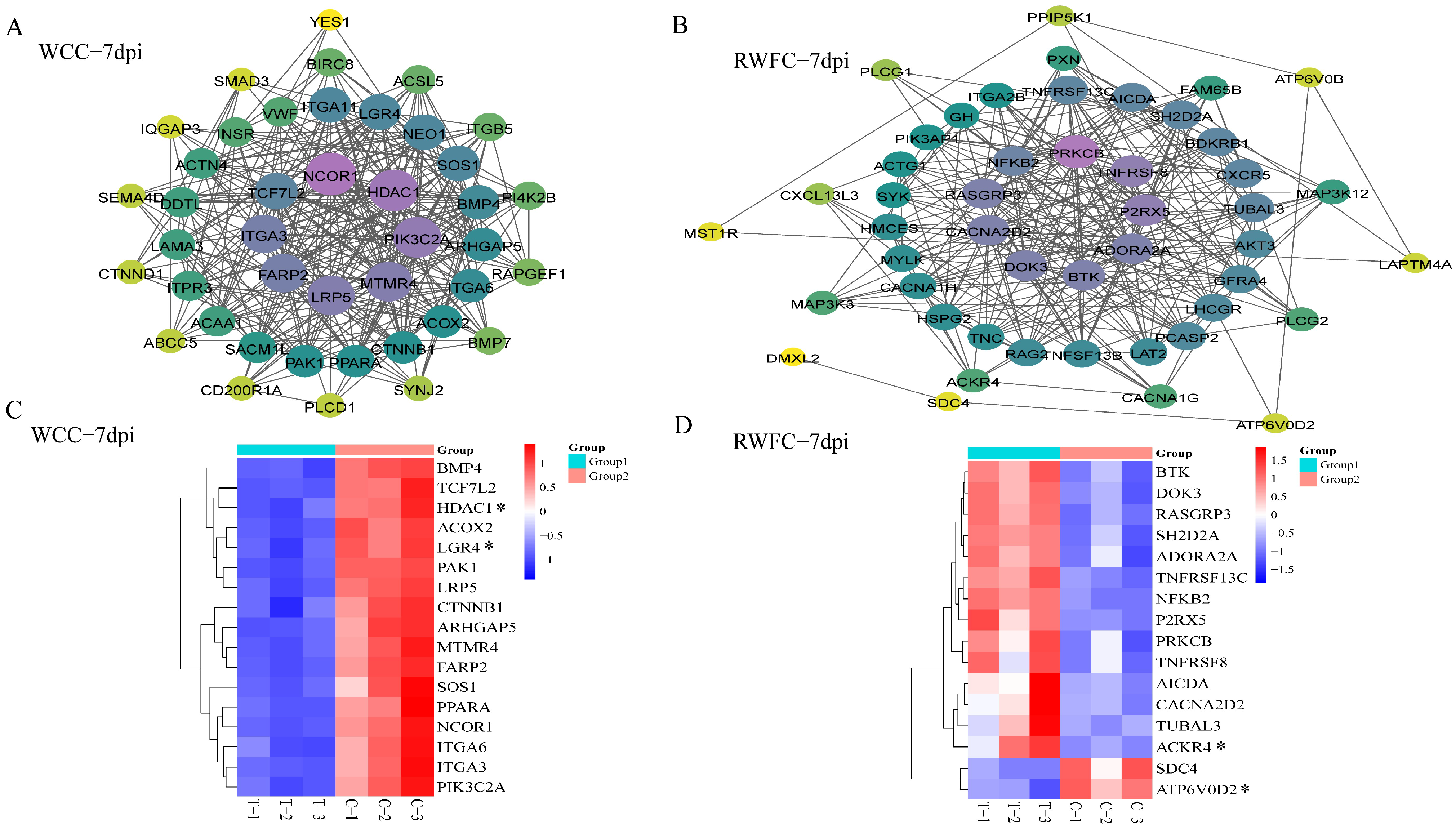 Animals 15 02533 g0a3