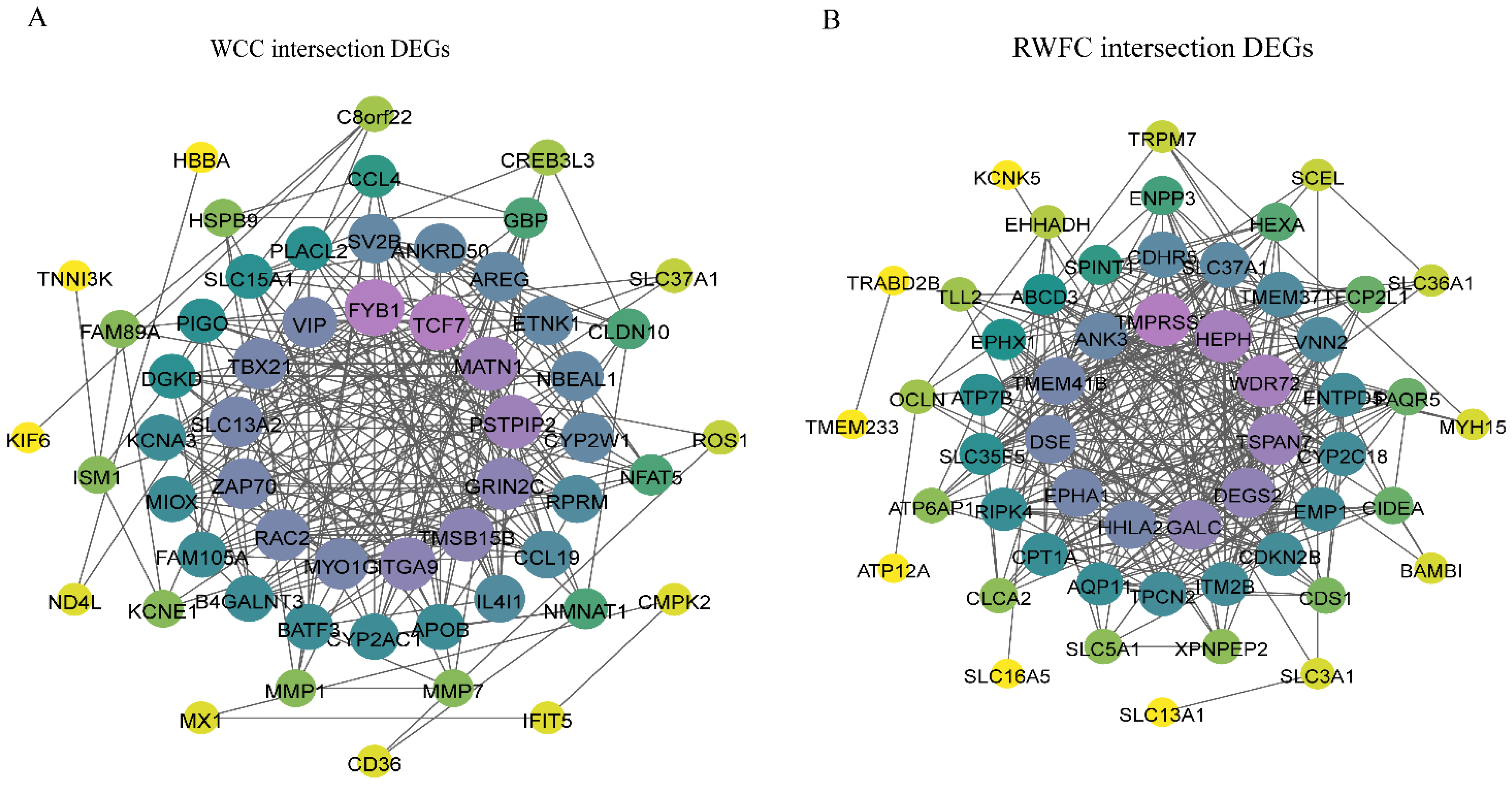 Animals 15 02533 g0a4