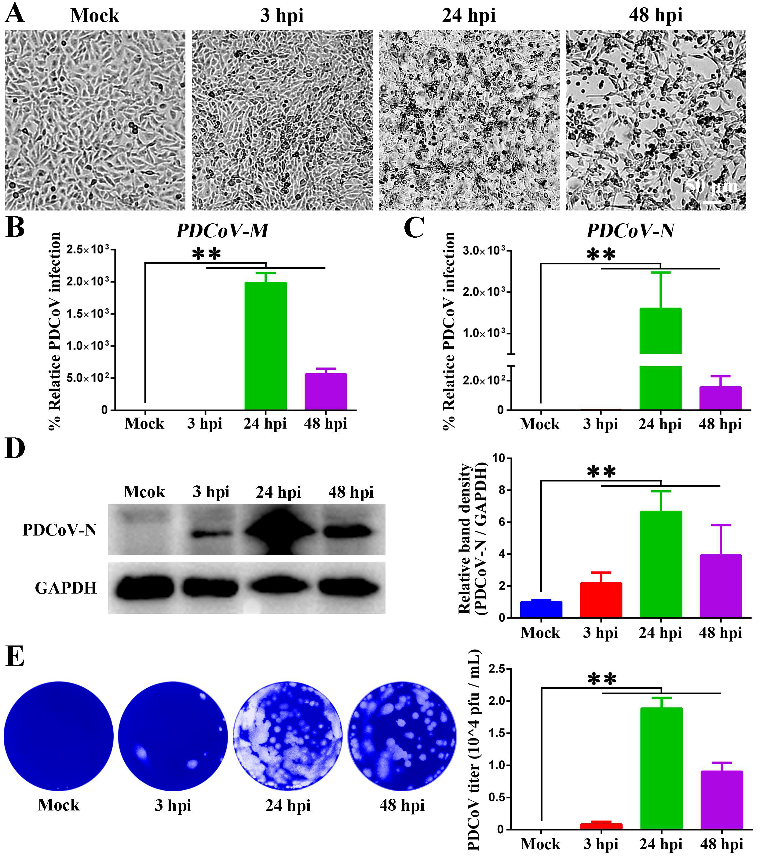 Animals 15 02536 g001