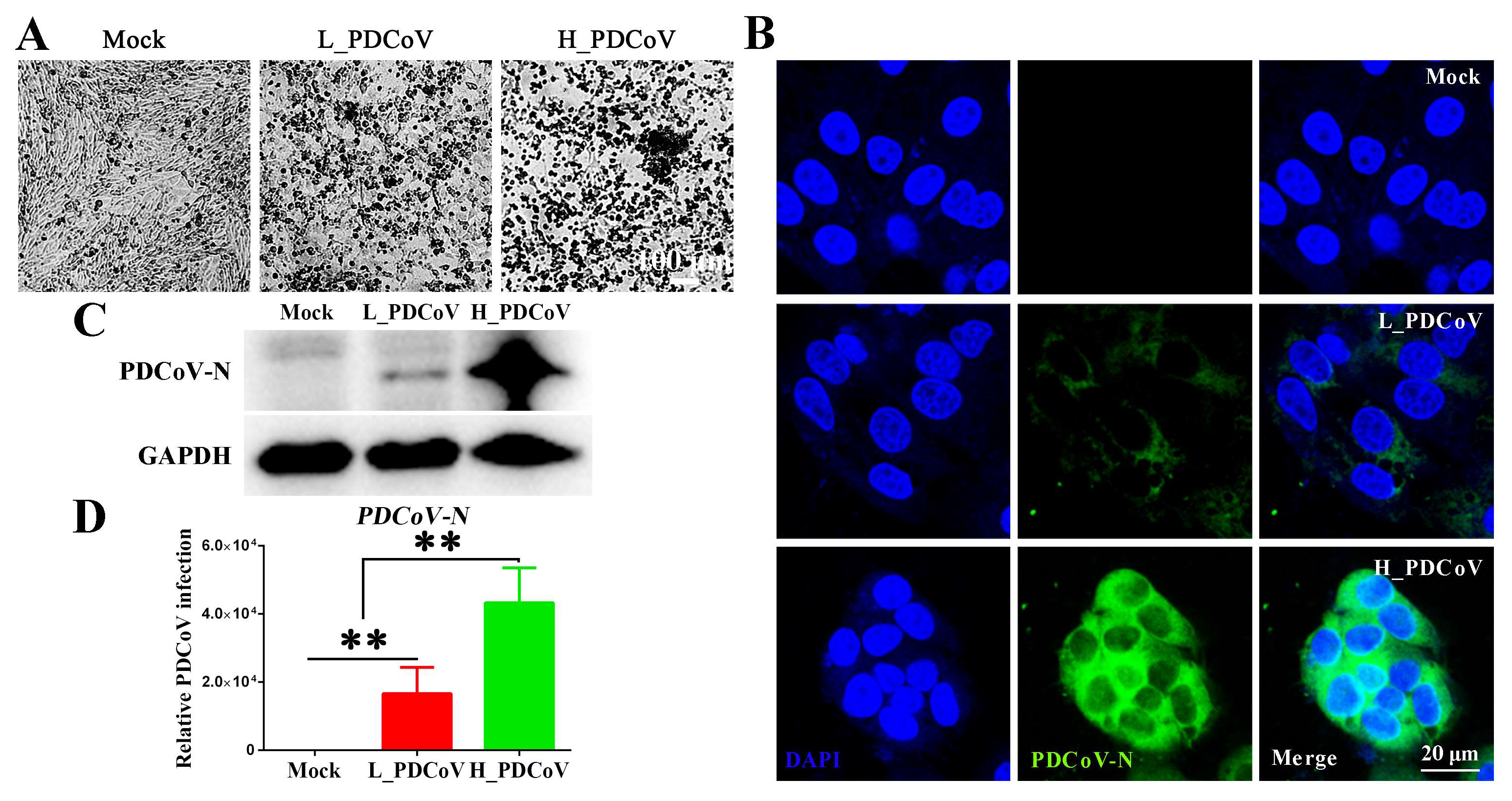 Animals 15 02536 g002