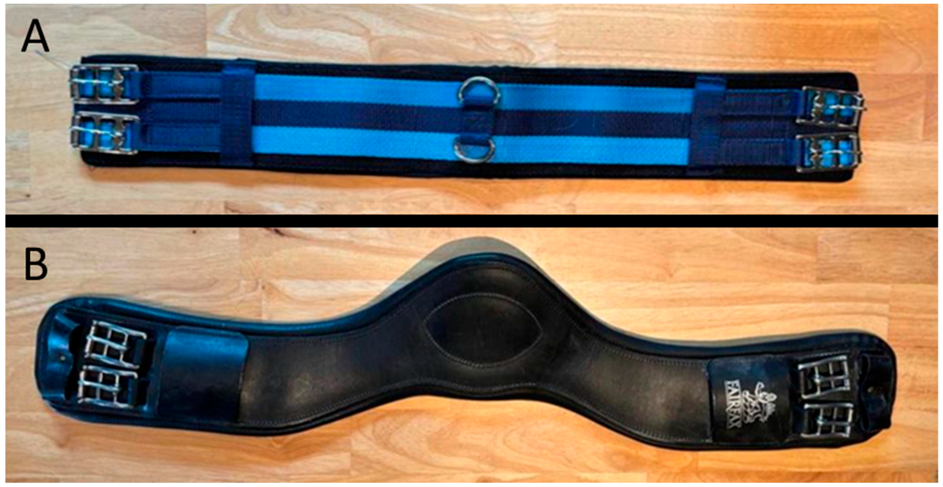 Animals 15 02540 g002