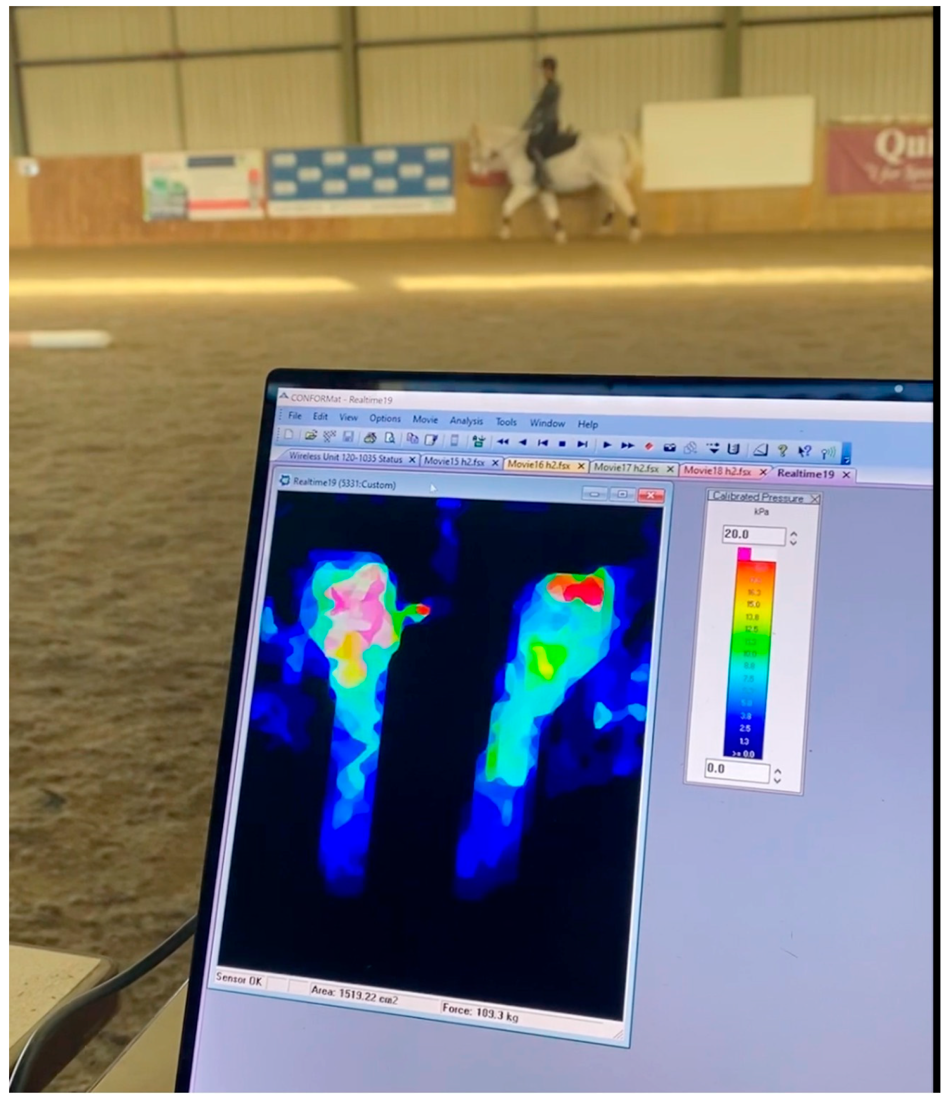 Animals 15 02540 g003