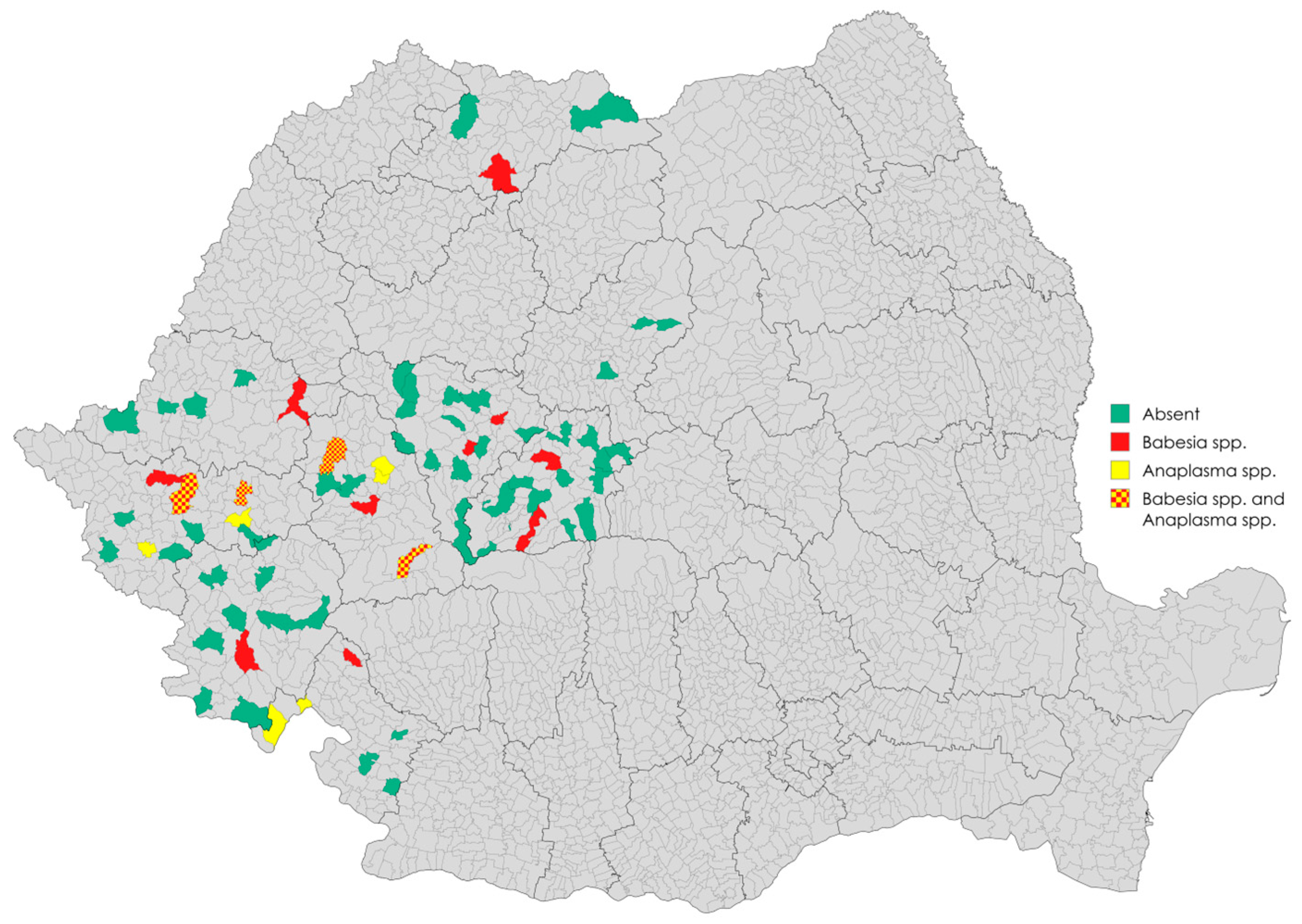 Animals 15 02542 g001 Animals 15 02542 g001