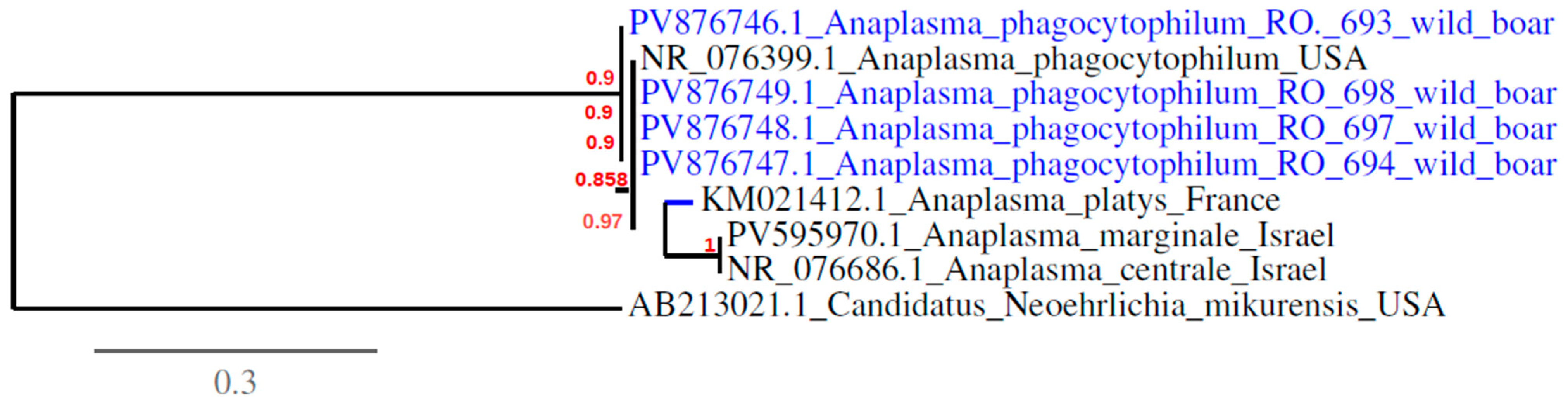 Animals 15 02542 g004 Animals 15 02542 g004