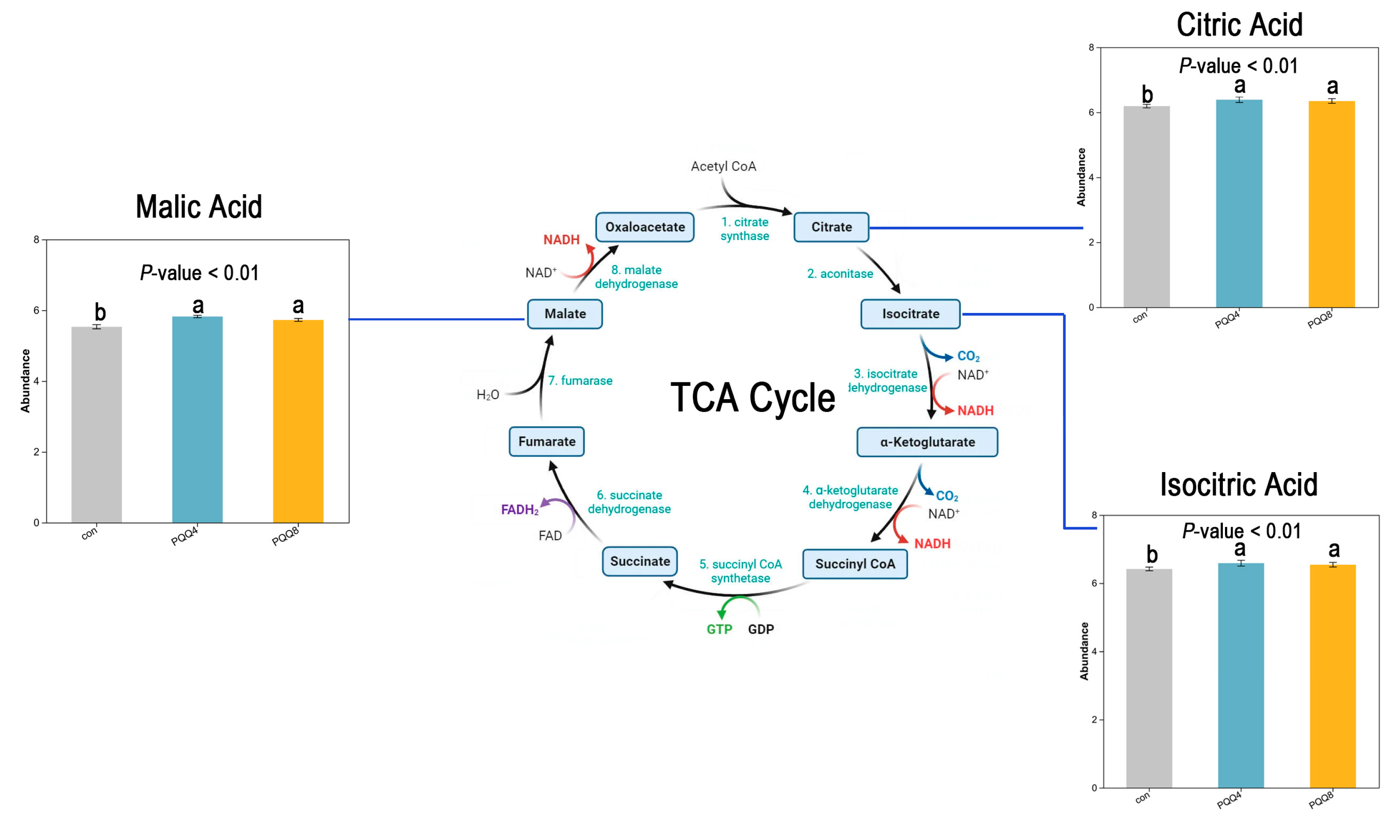 Animals 15 02543 g006