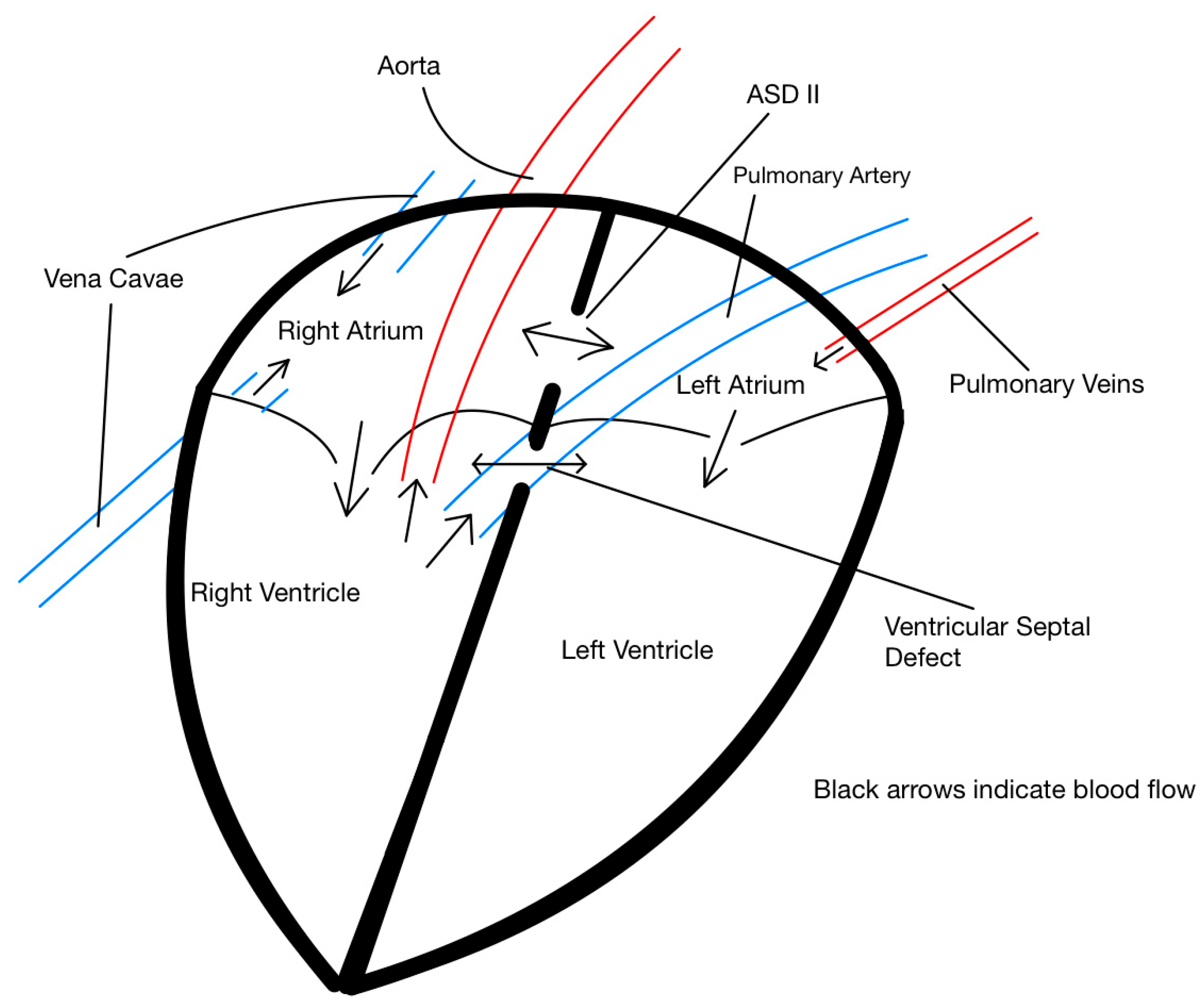 Animals 15 02550 g003