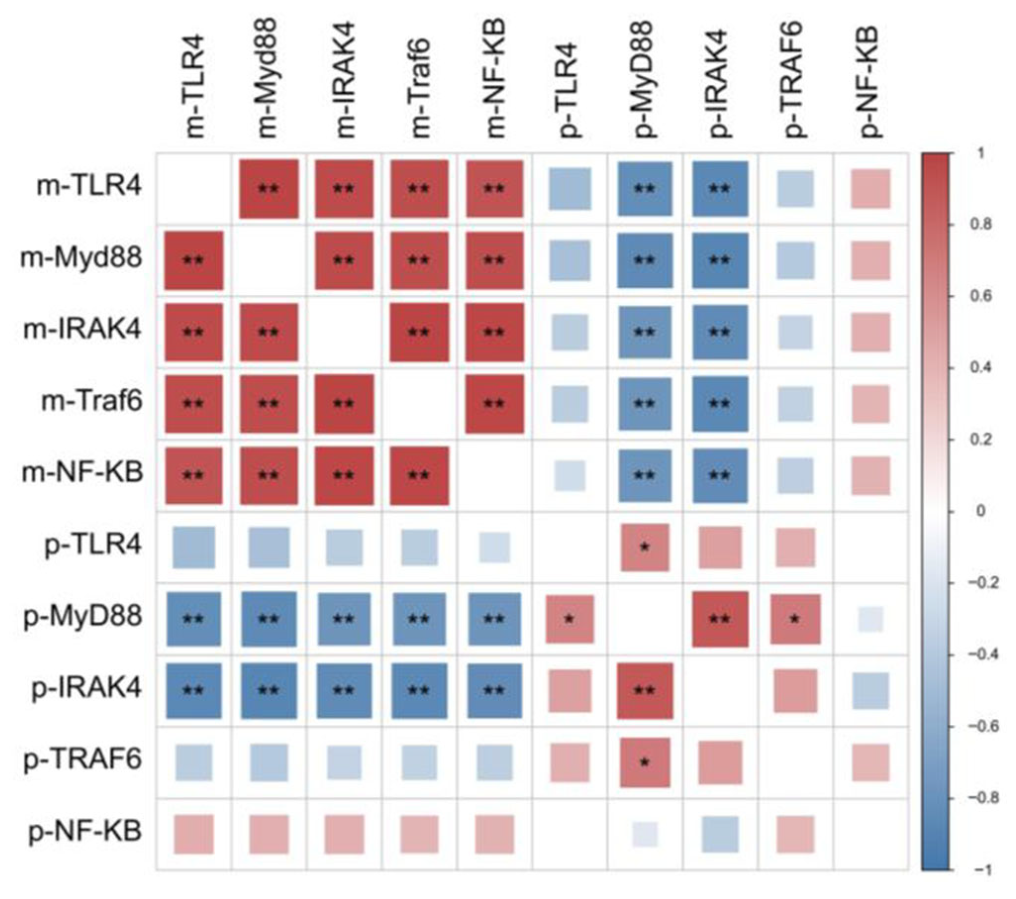 Animals 15 02554 g008 Animals 15 02554 g008