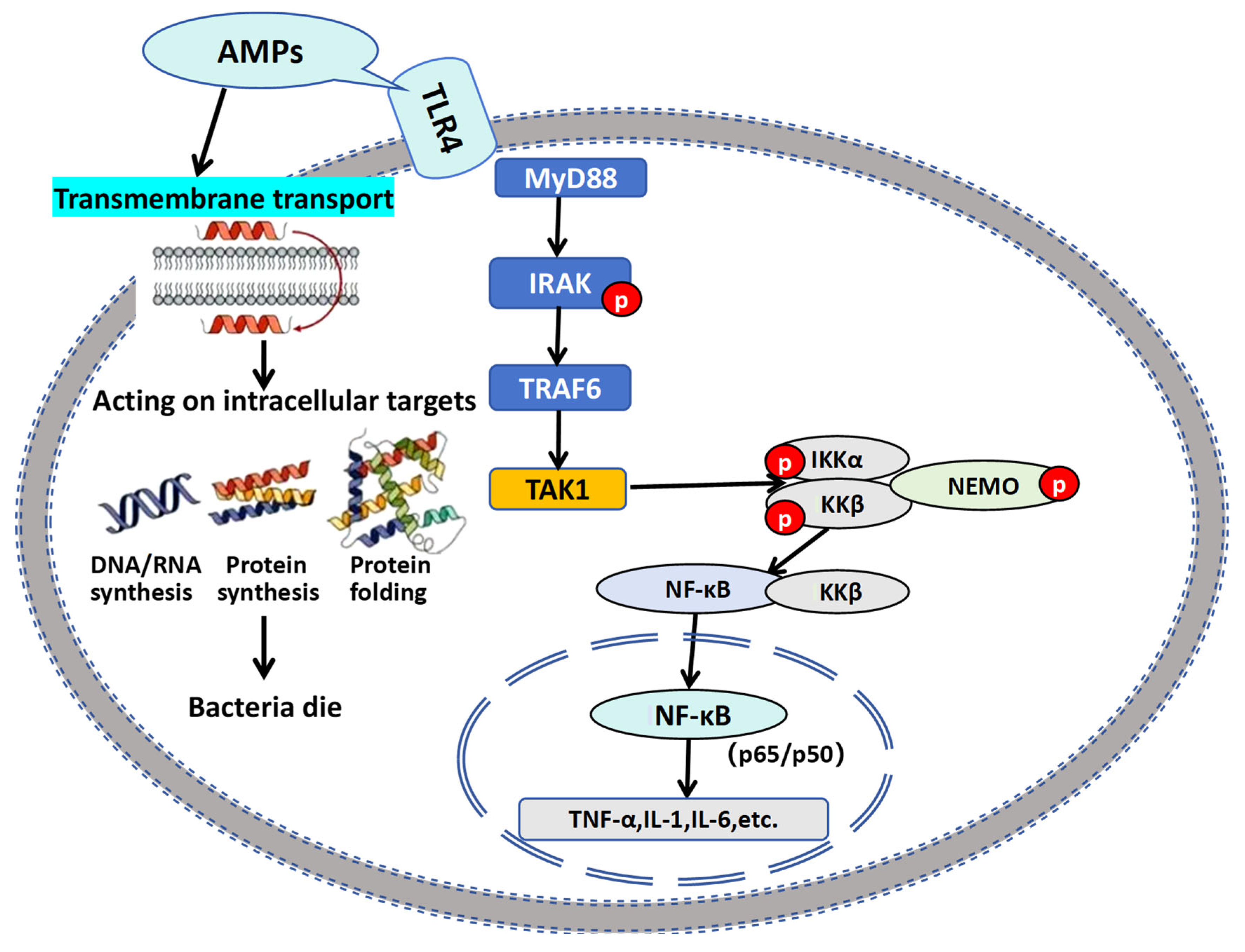 Animals 15 02554 g009 Animals 15 02554 g009