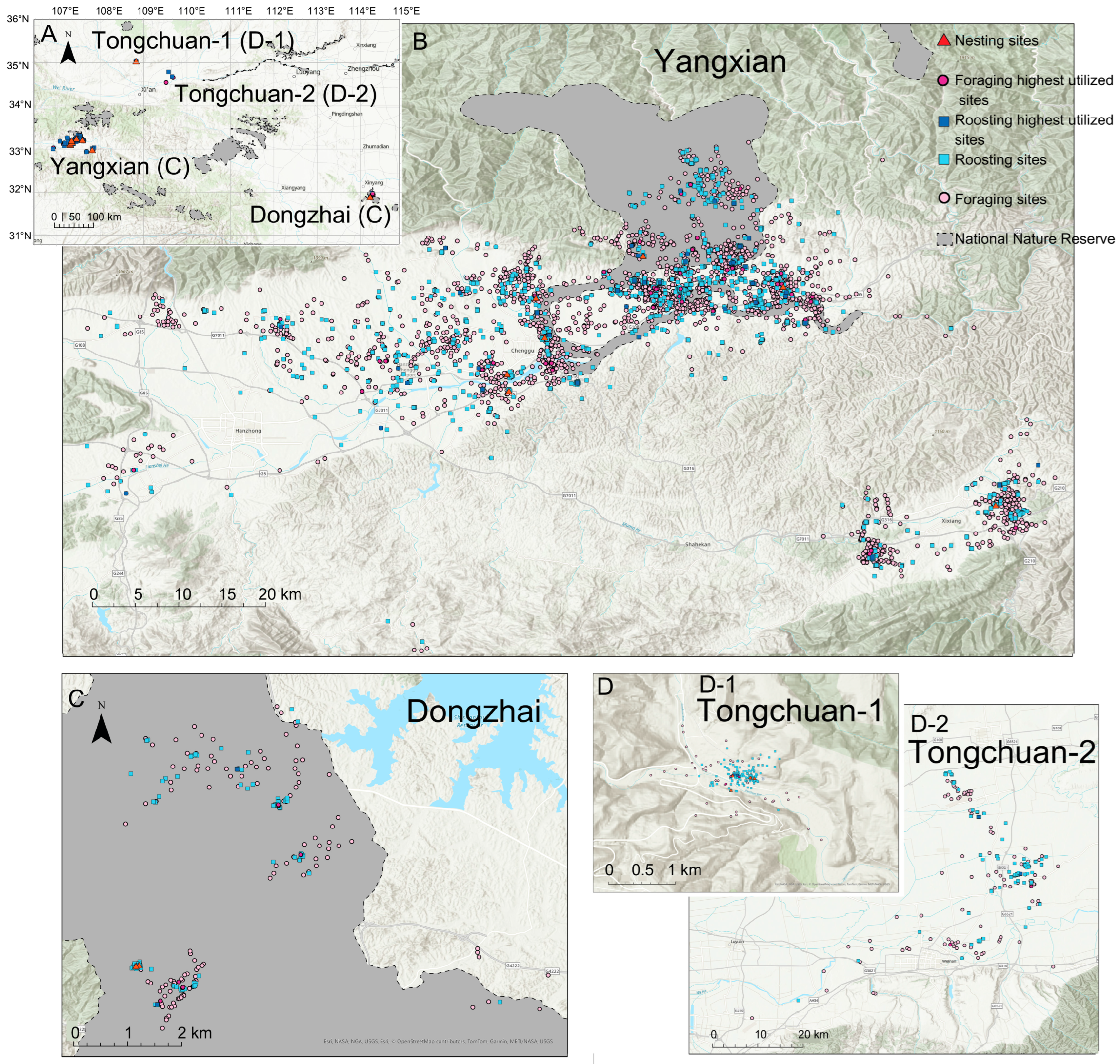 Animals 15 02555 g001 Animals 15 02555 g001