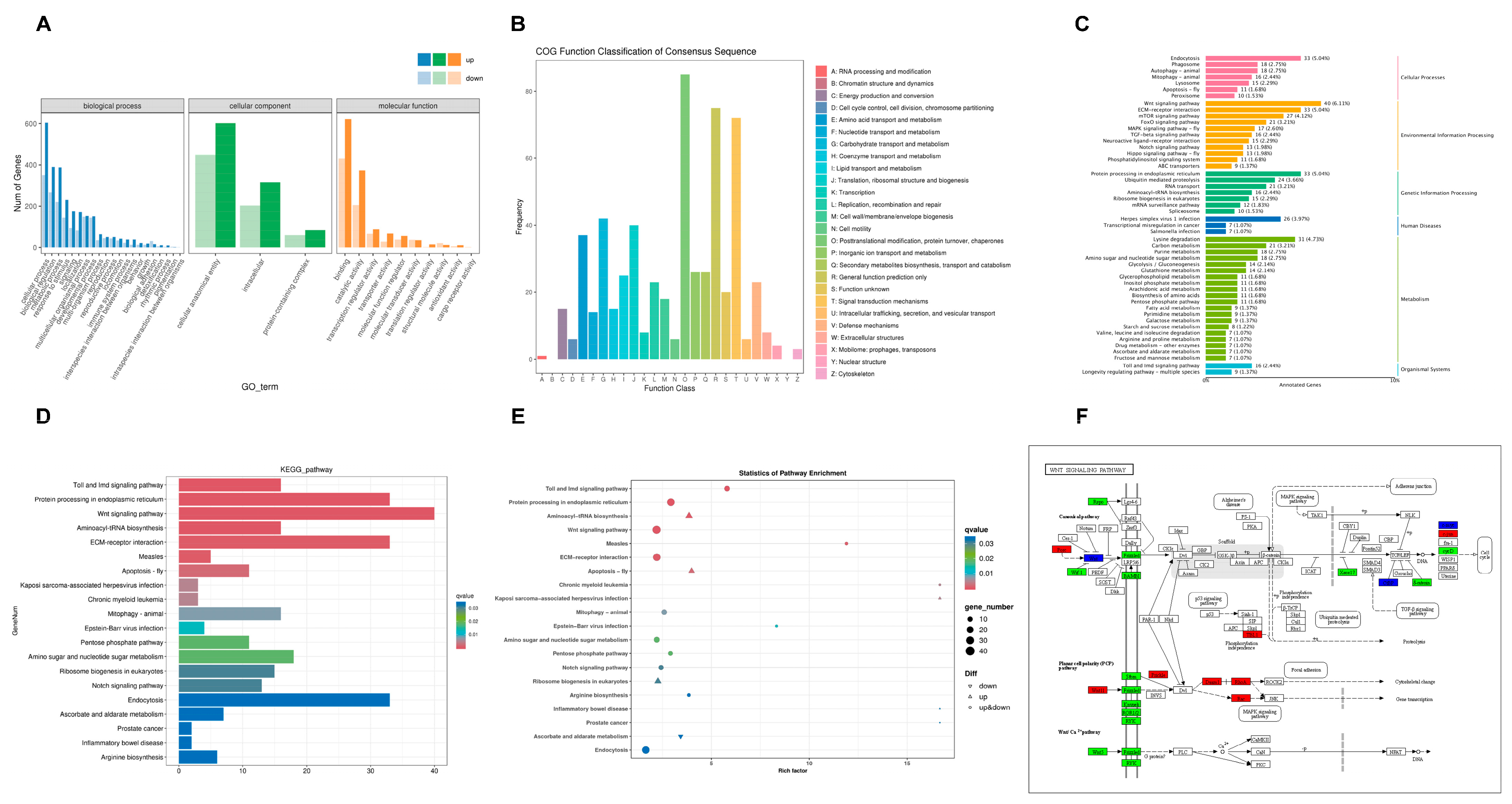 Animals 15 02556 g005