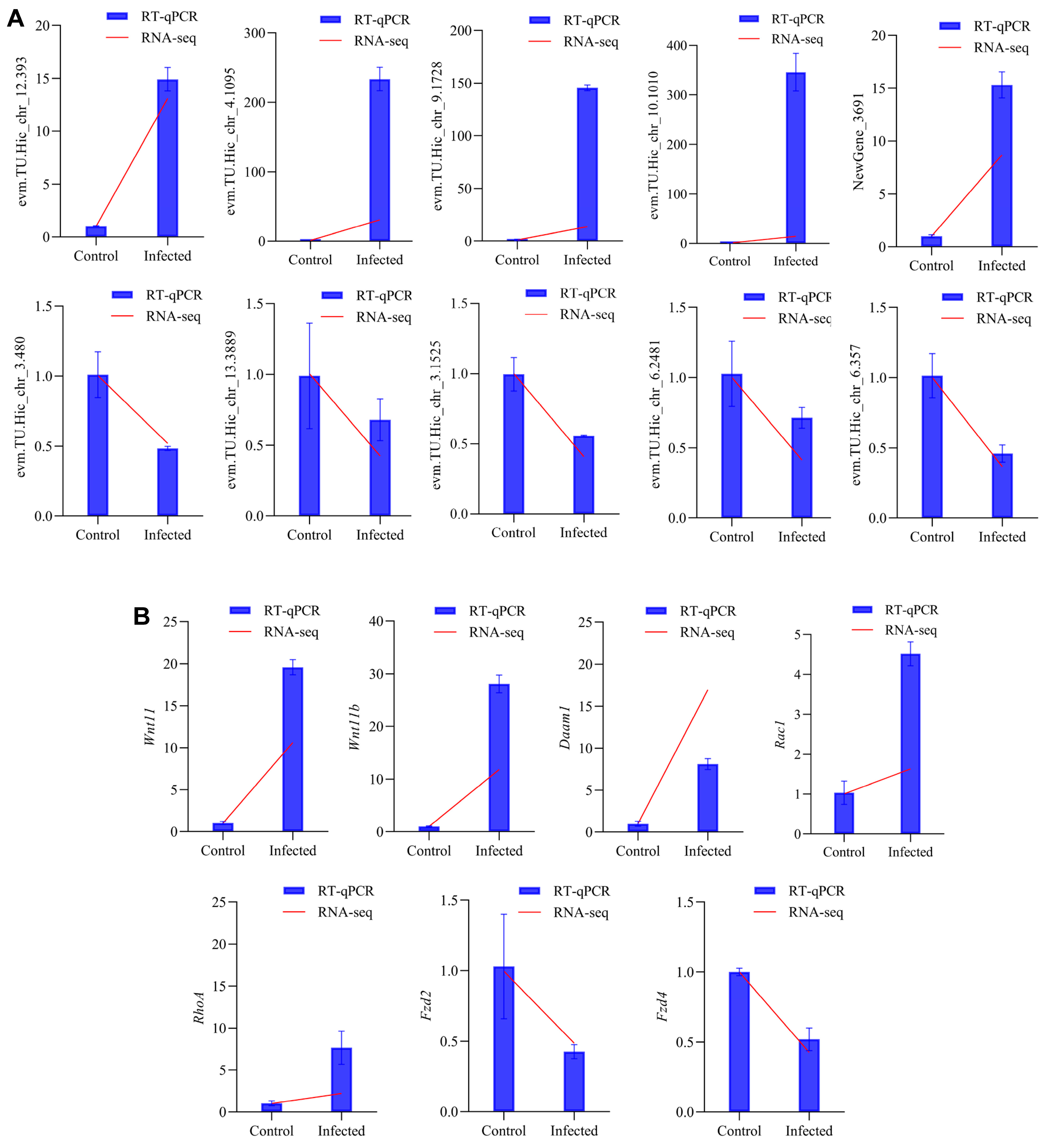Animals 15 02556 g006