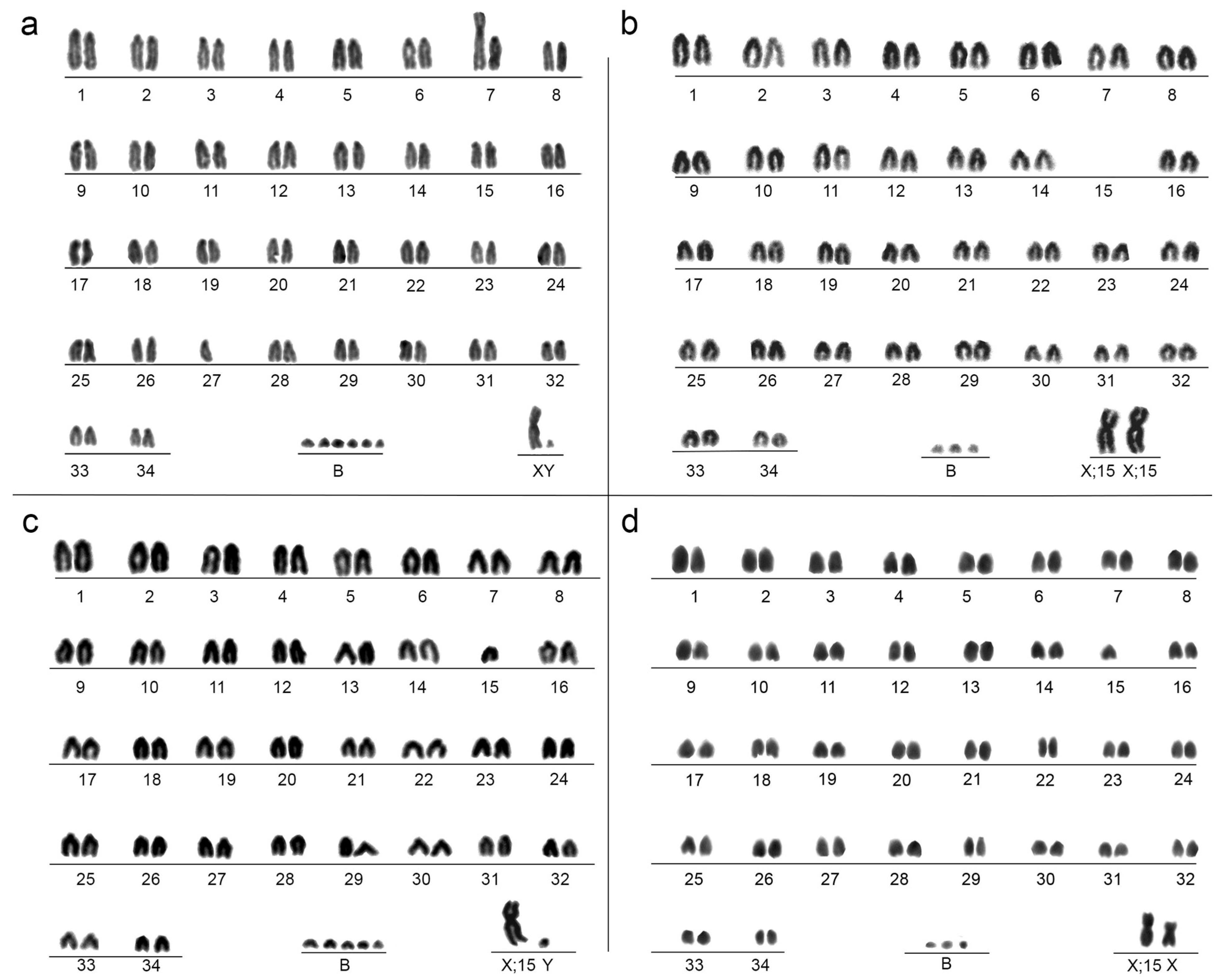 Animals 15 02557 g001 Animals 15 02557 g001