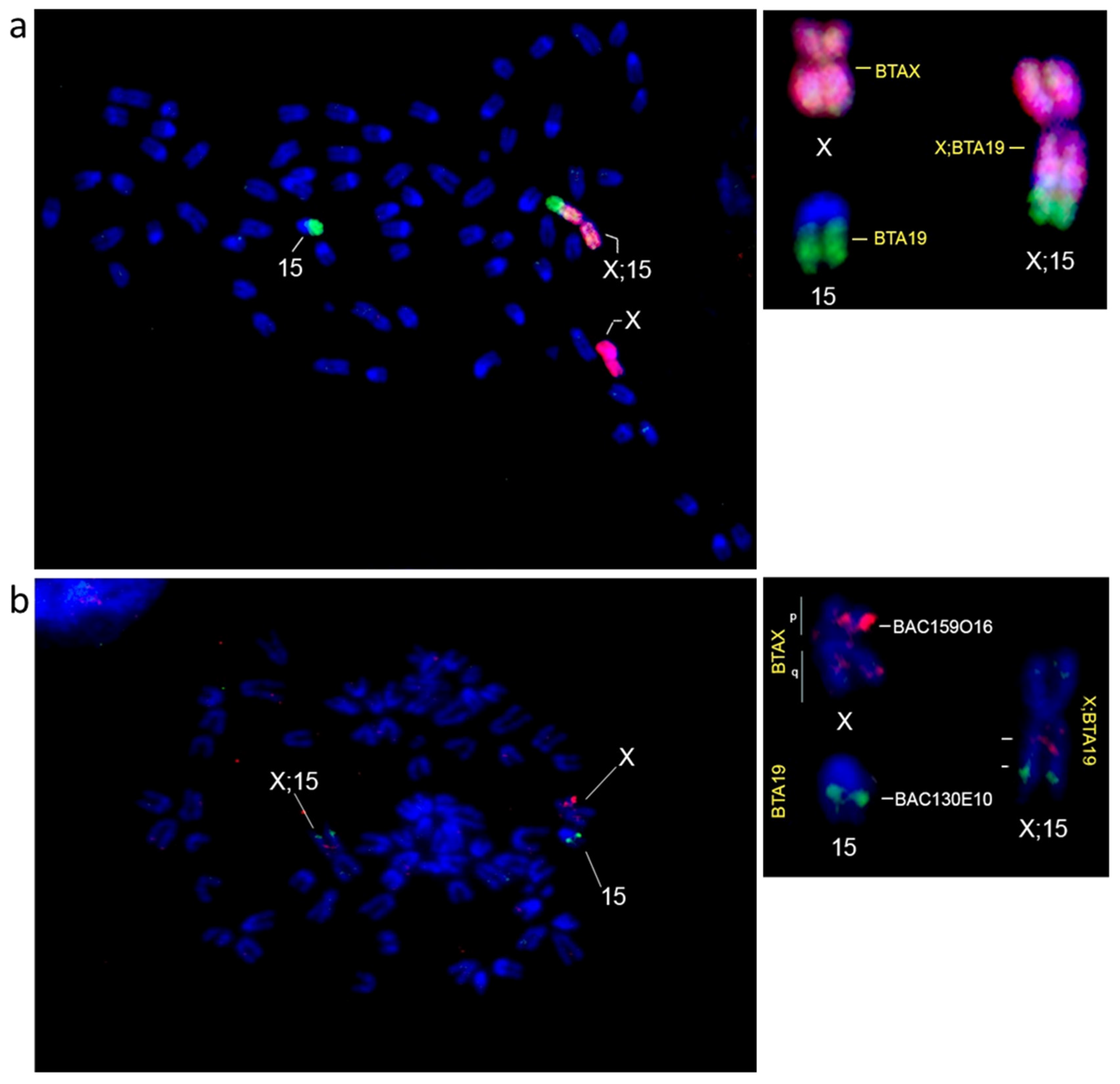 Animals 15 02557 g002 Animals 15 02557 g002