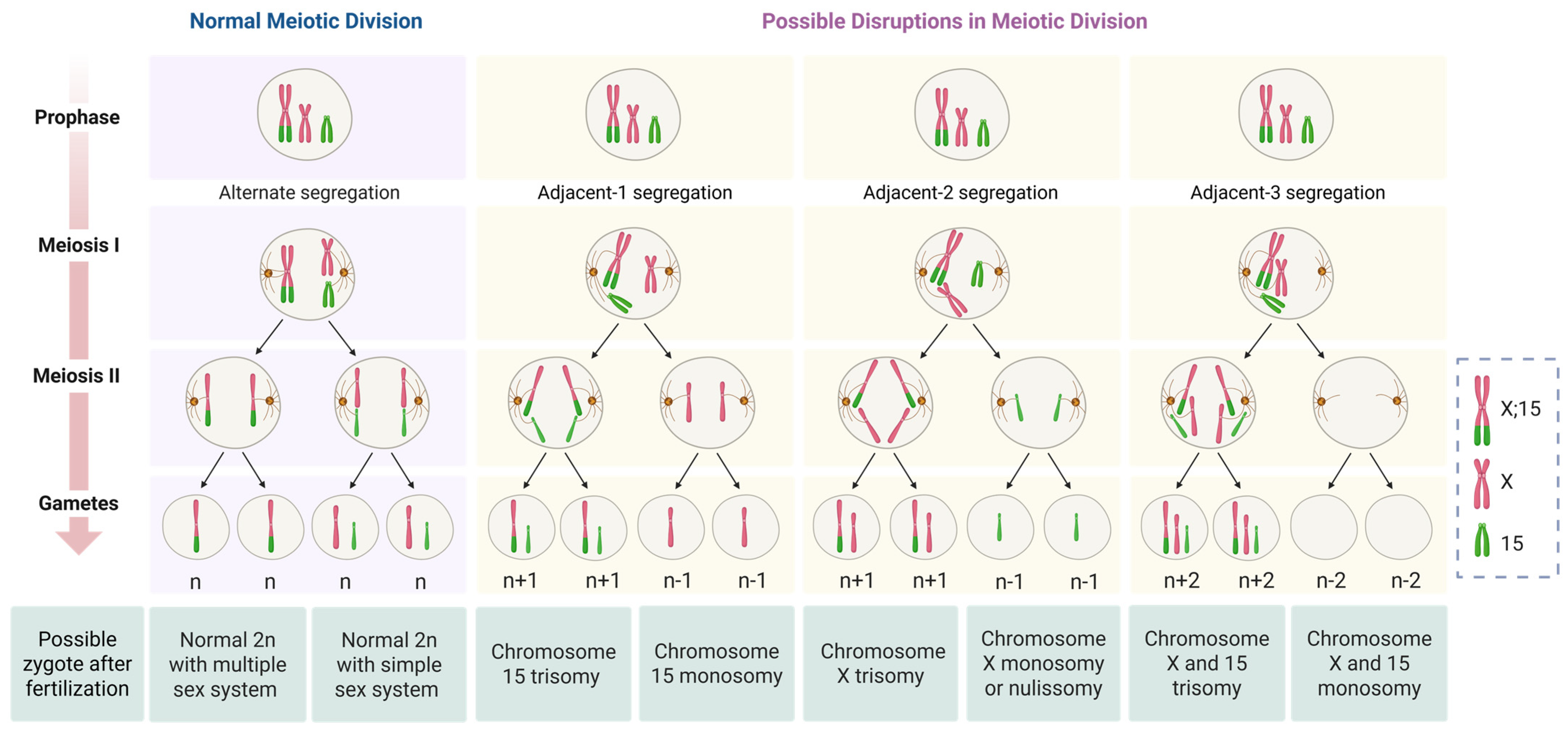 Animals 15 02557 g003 Animals 15 02557 g003