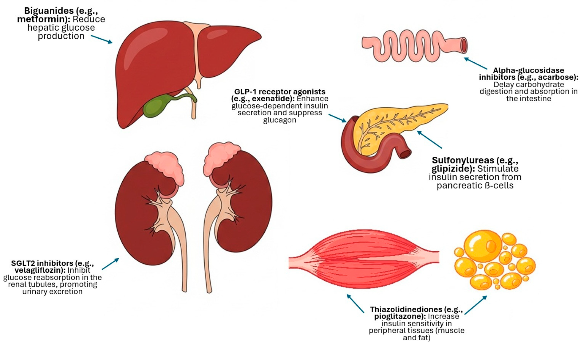 Animals 15 02561 g001 Animals 15 02561 g001