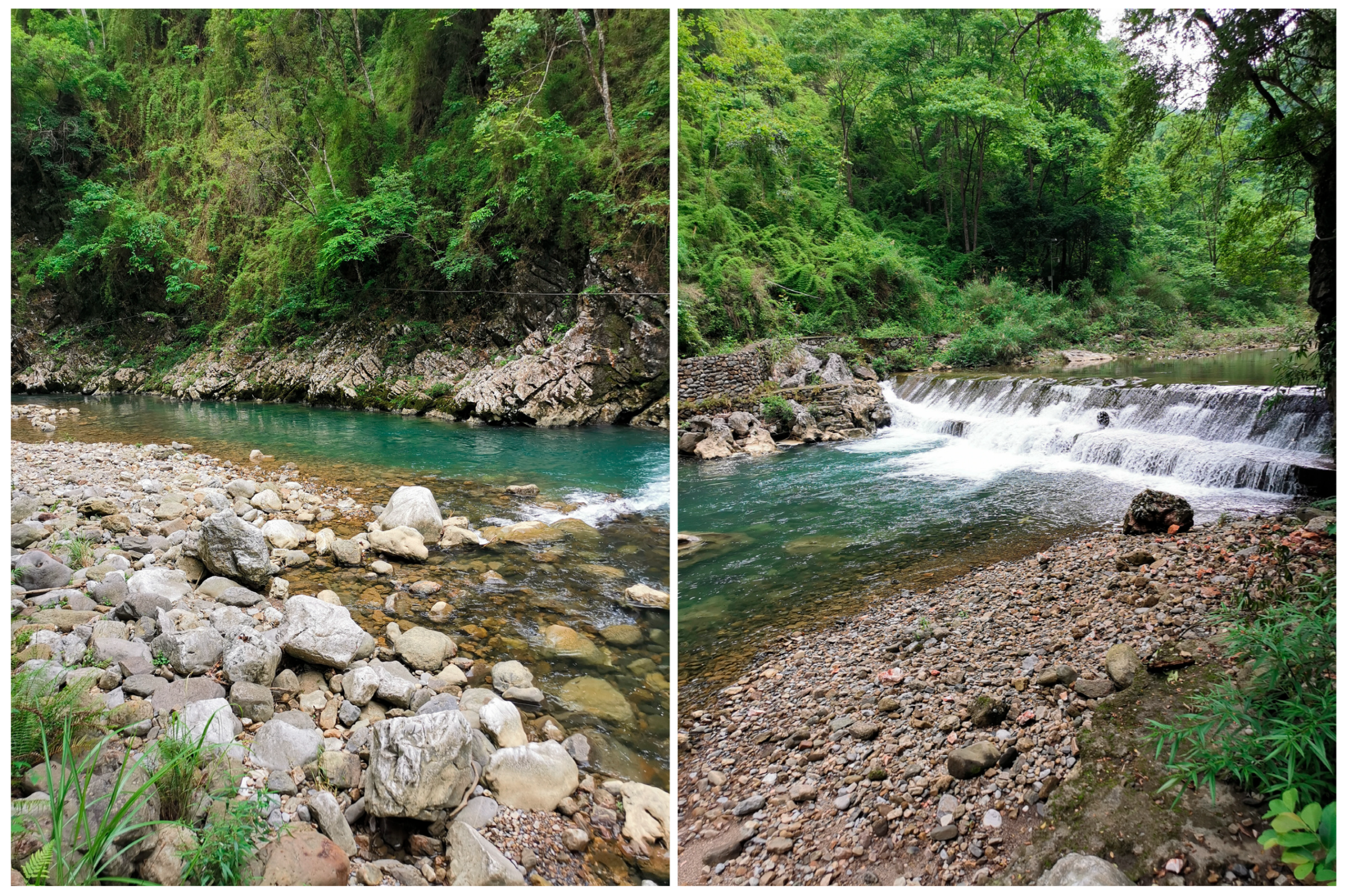 Animals 15 02563 g005 Animals 15 02563 g005