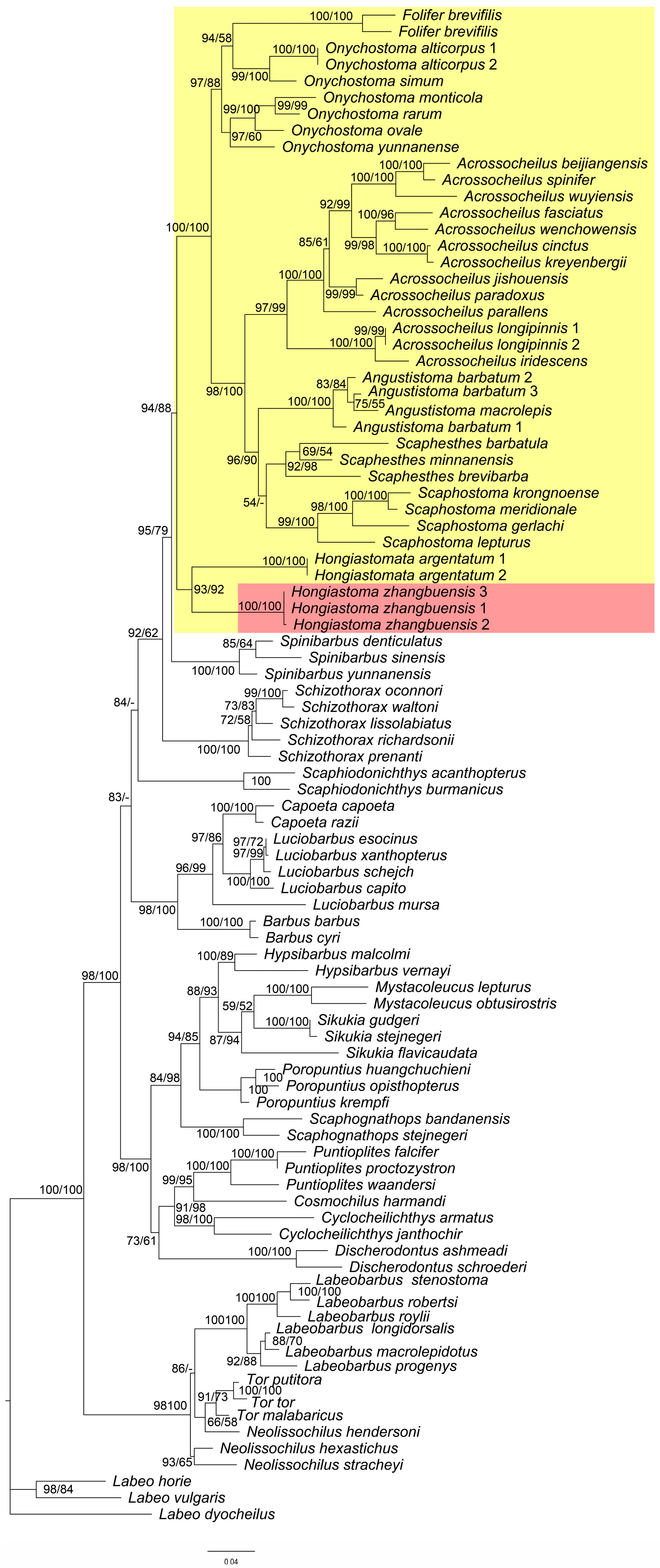 Animals 15 02563 g006 Animals 15 02563 g006