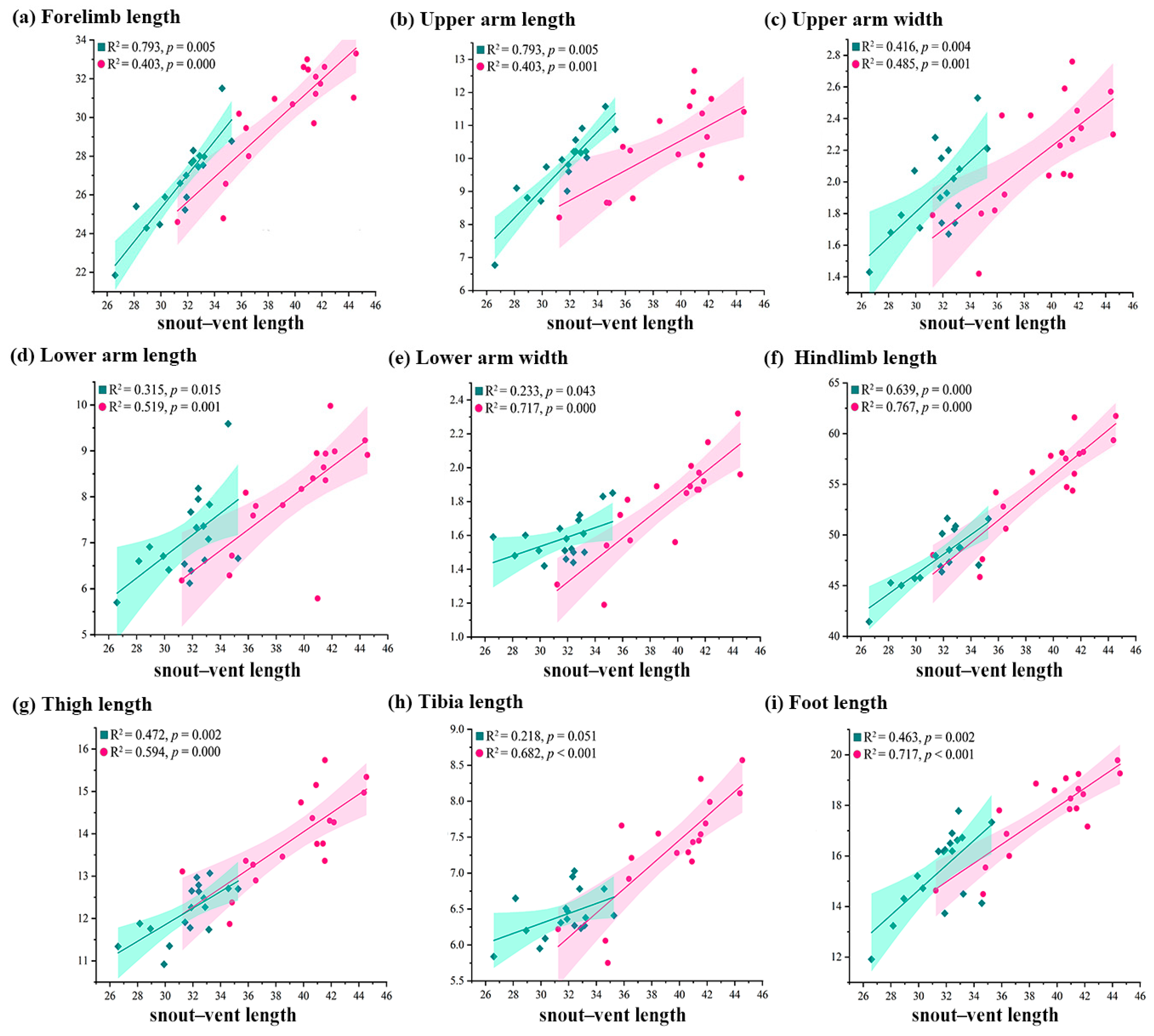 Animals 15 02566 g002