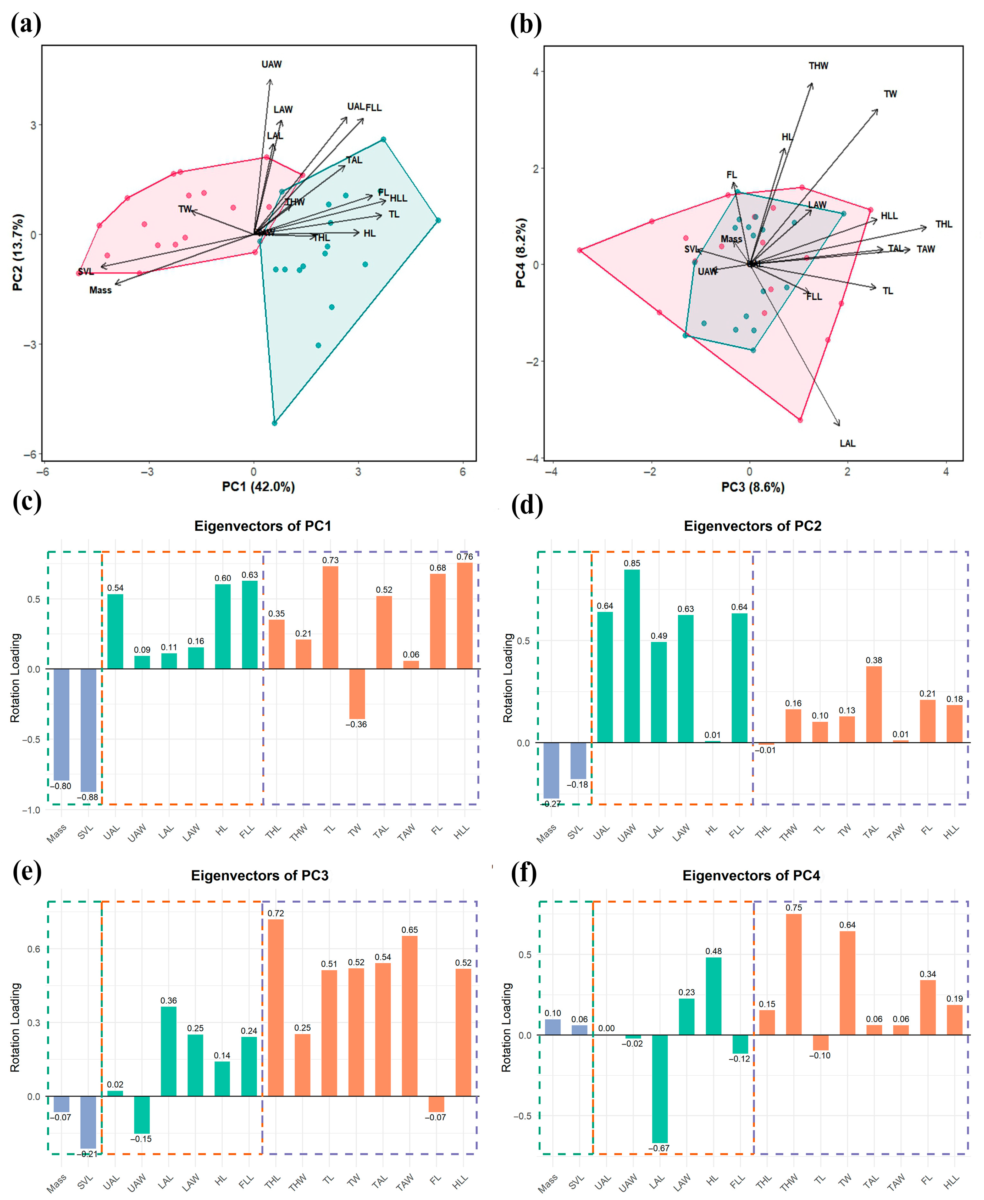 Animals 15 02566 g003