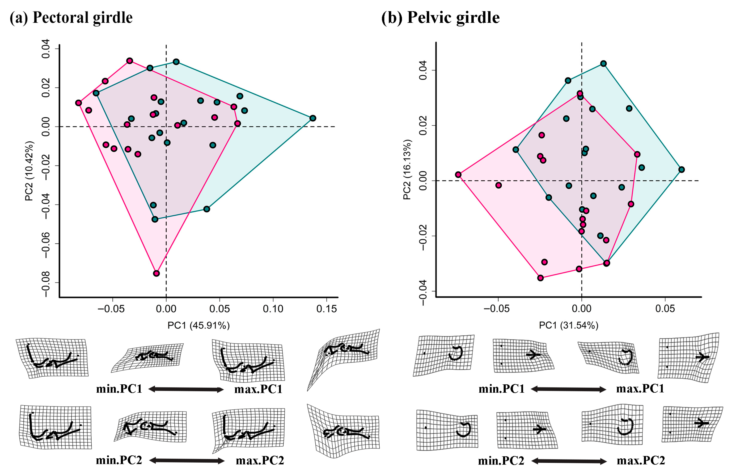 Animals 15 02566 g004