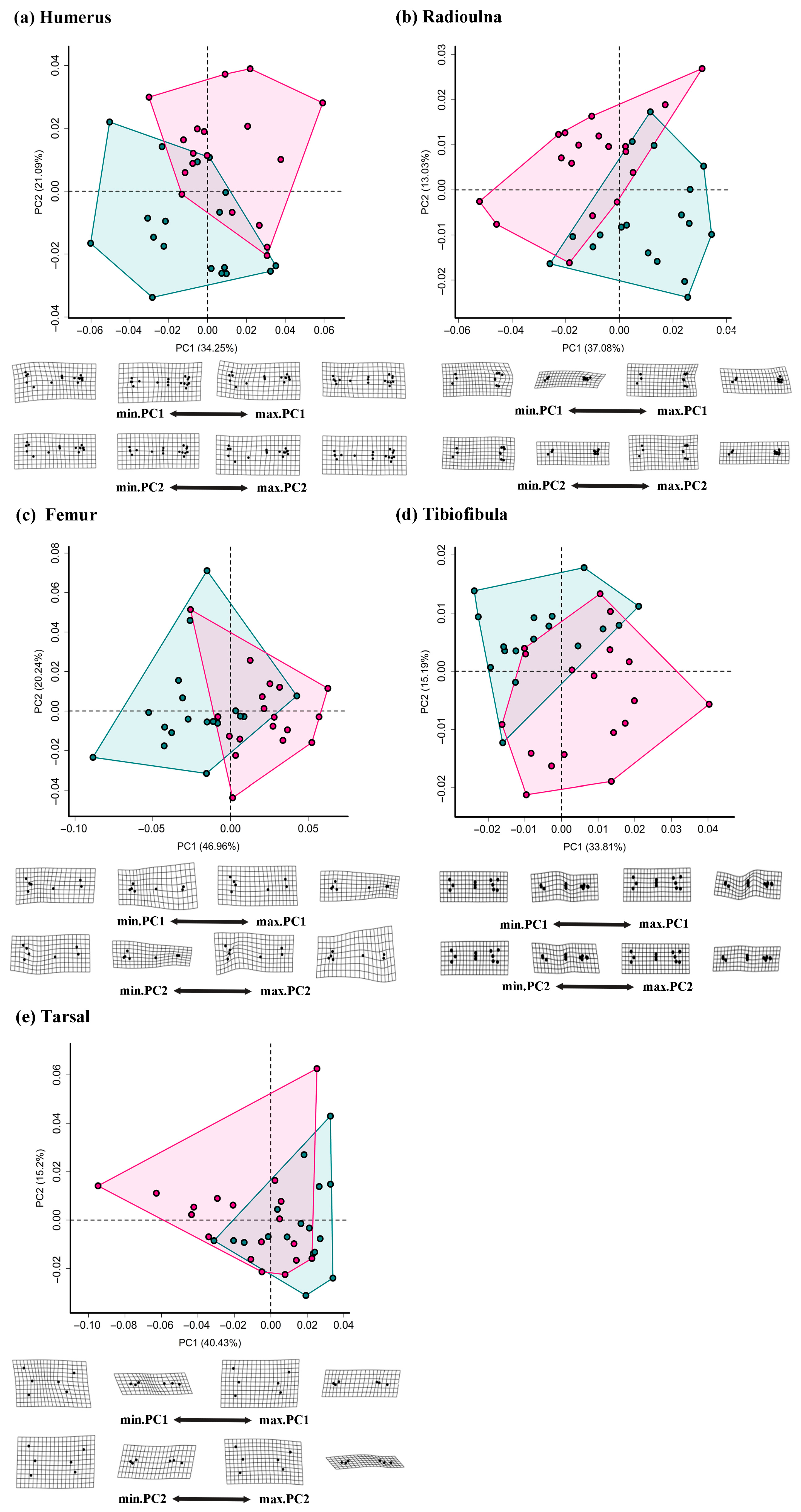 Animals 15 02566 g005