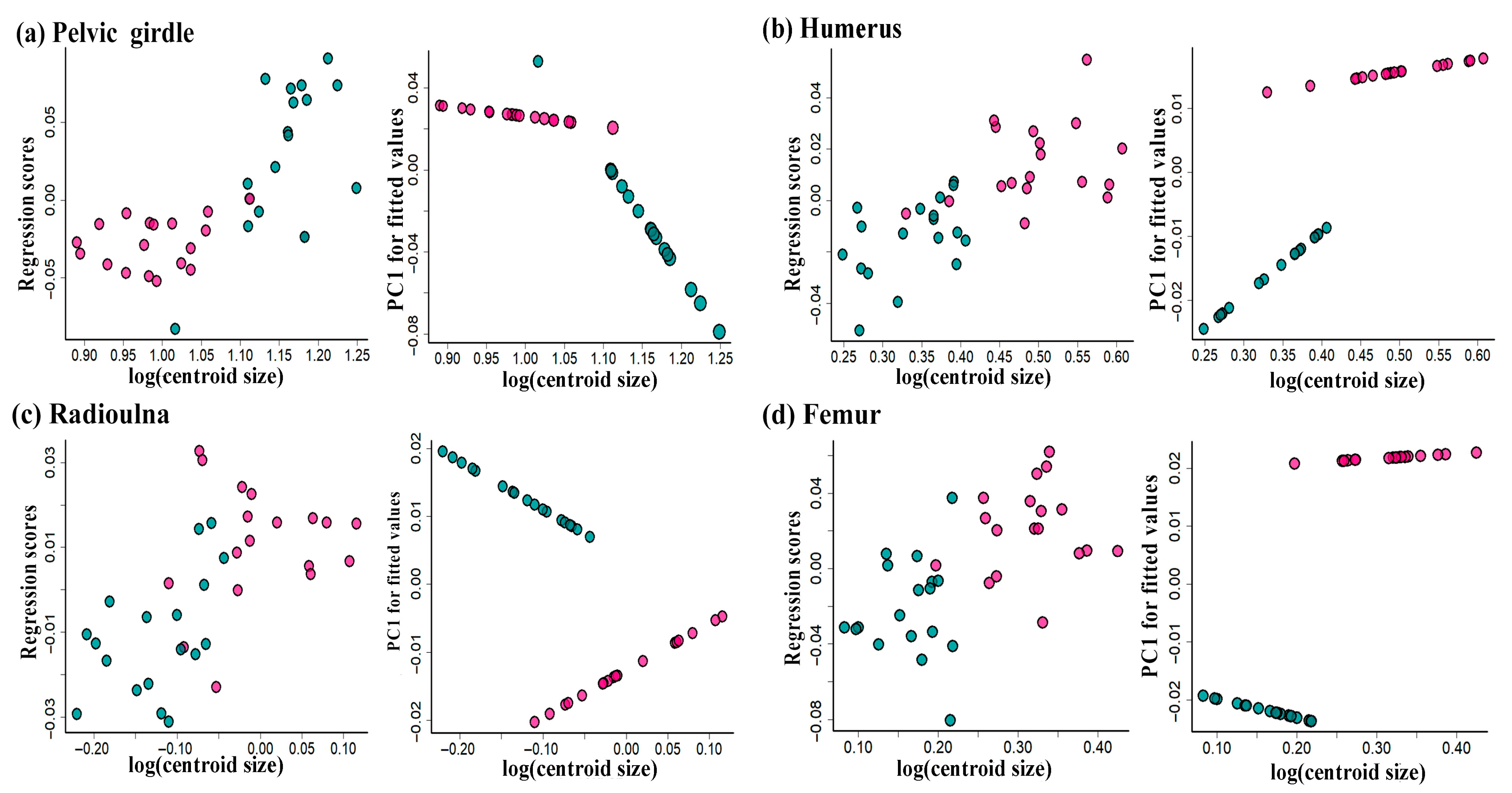 Animals 15 02566 g006