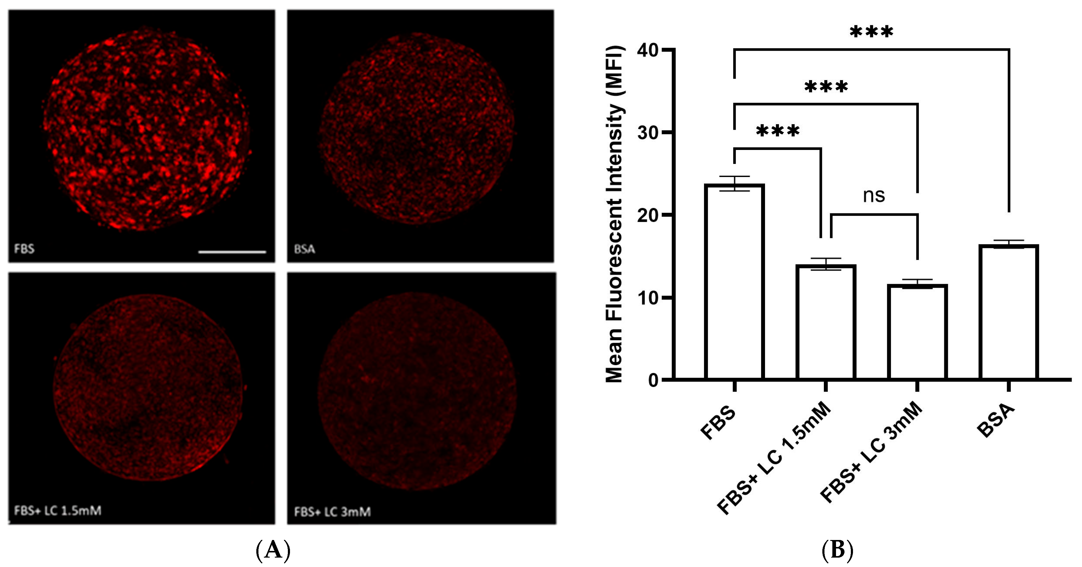 Animals 15 02576 g003 Animals 15 02576 g003