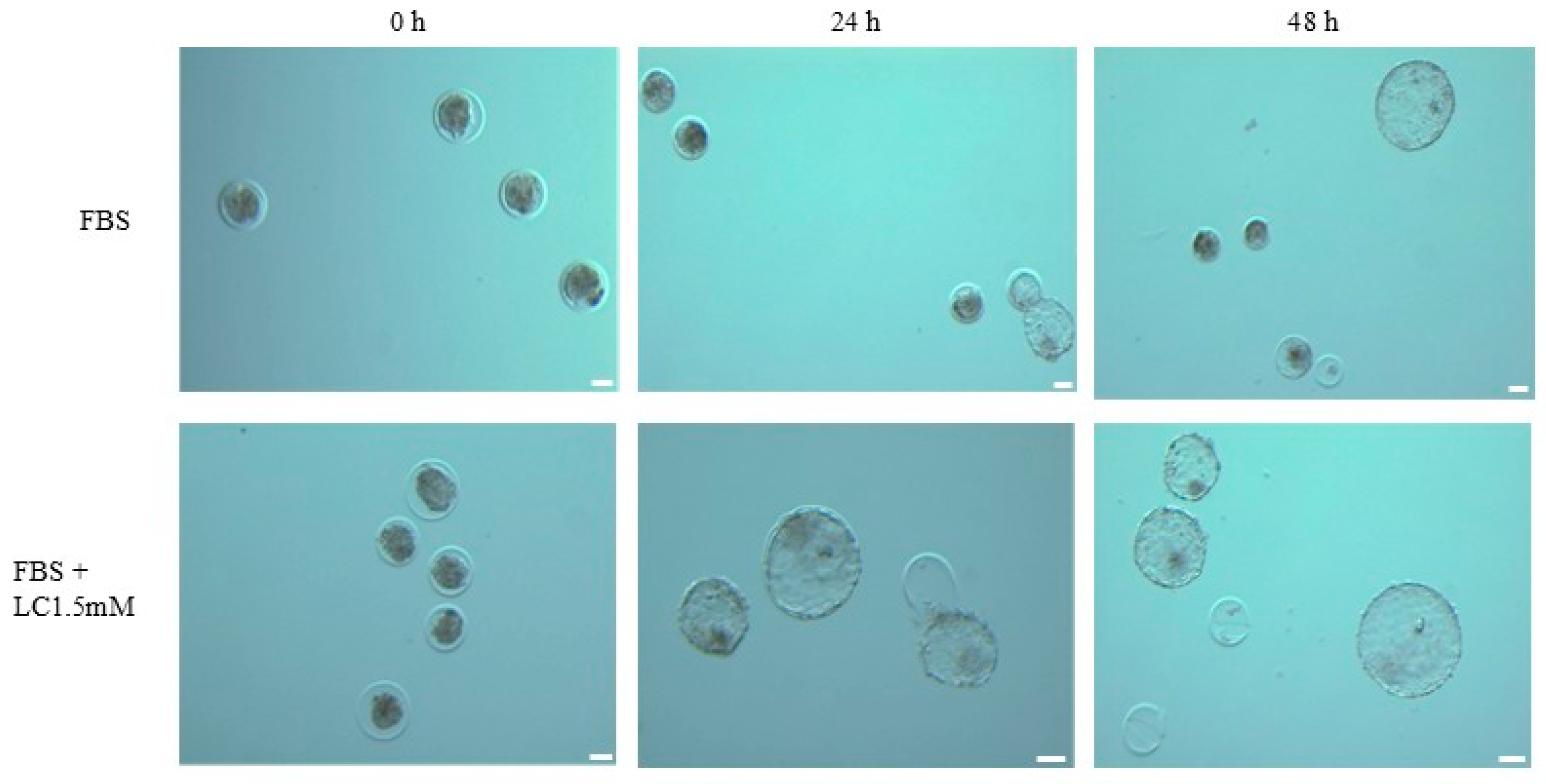 Animals 15 02576 g004 Animals 15 02576 g004