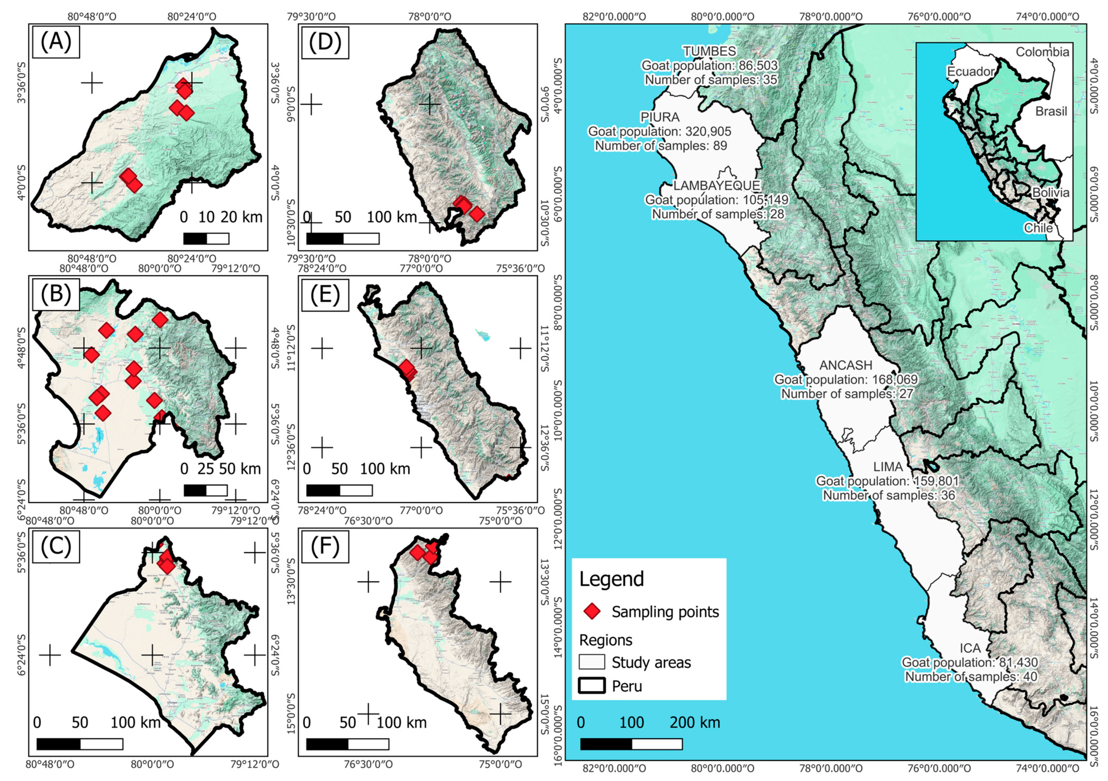 Animals 15 02577 g001