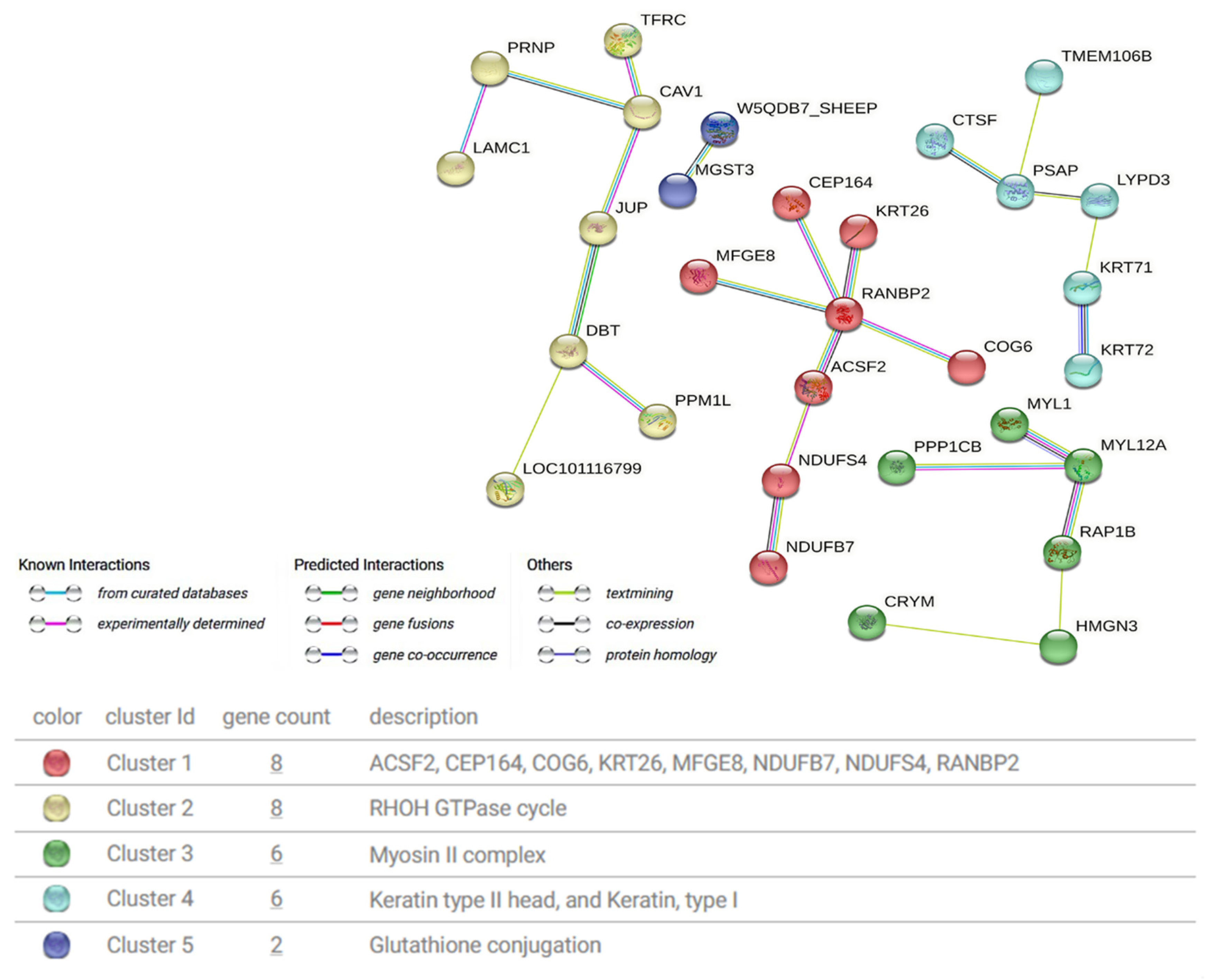 Animals 15 02578 g005 Animals 15 02578 g005