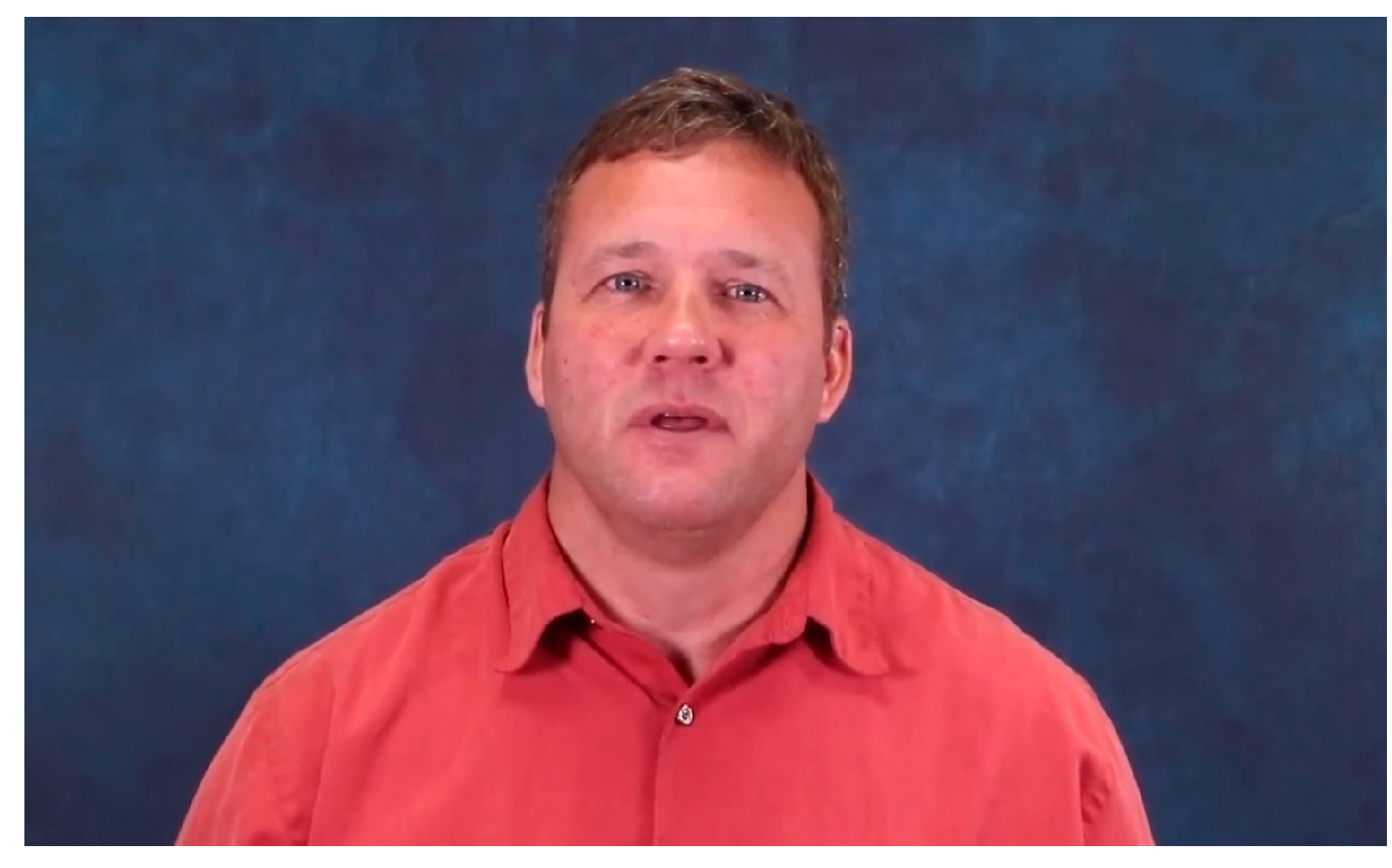 Animals 15 02584 g001