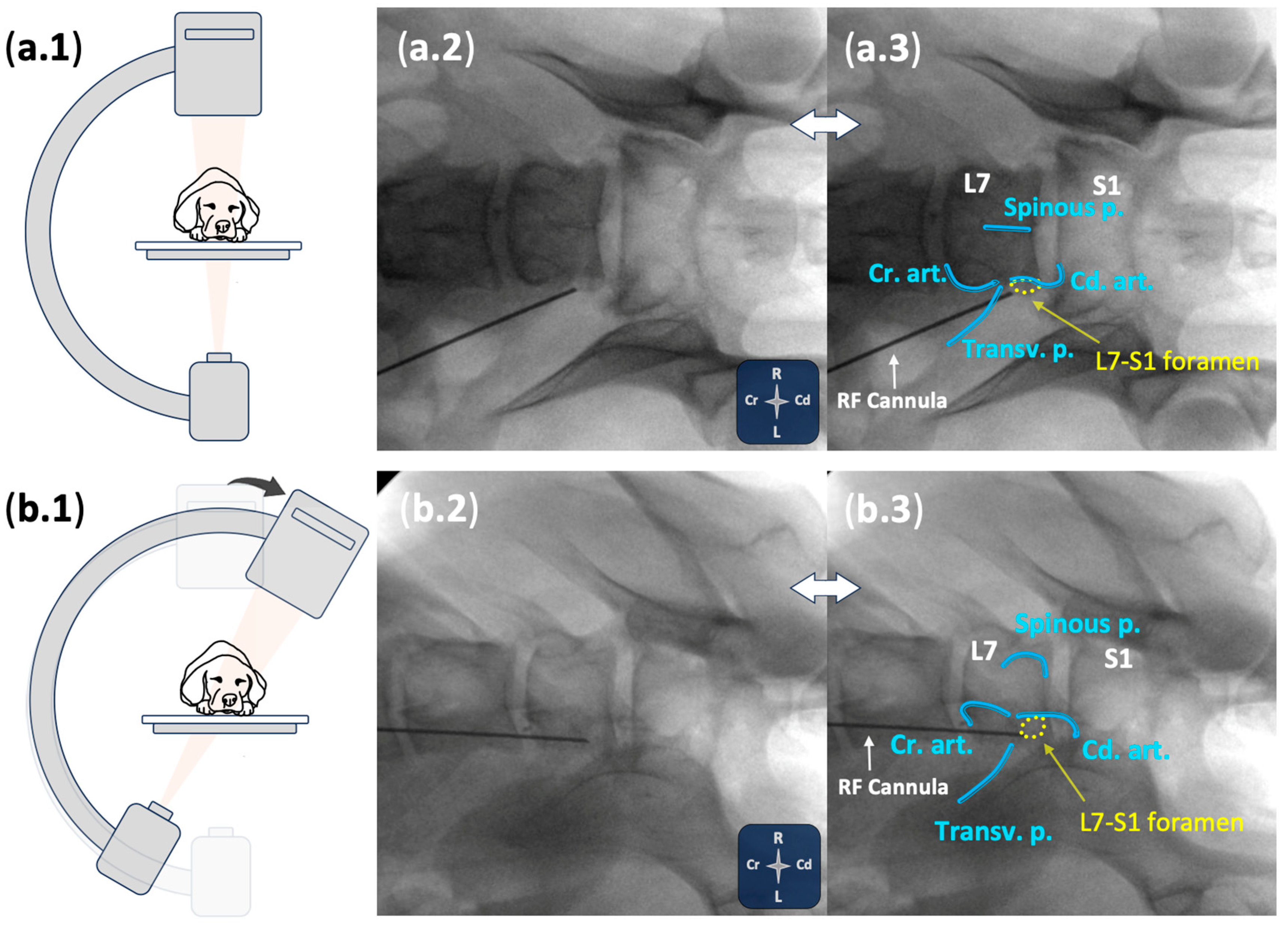 Animals 15 02586 g002