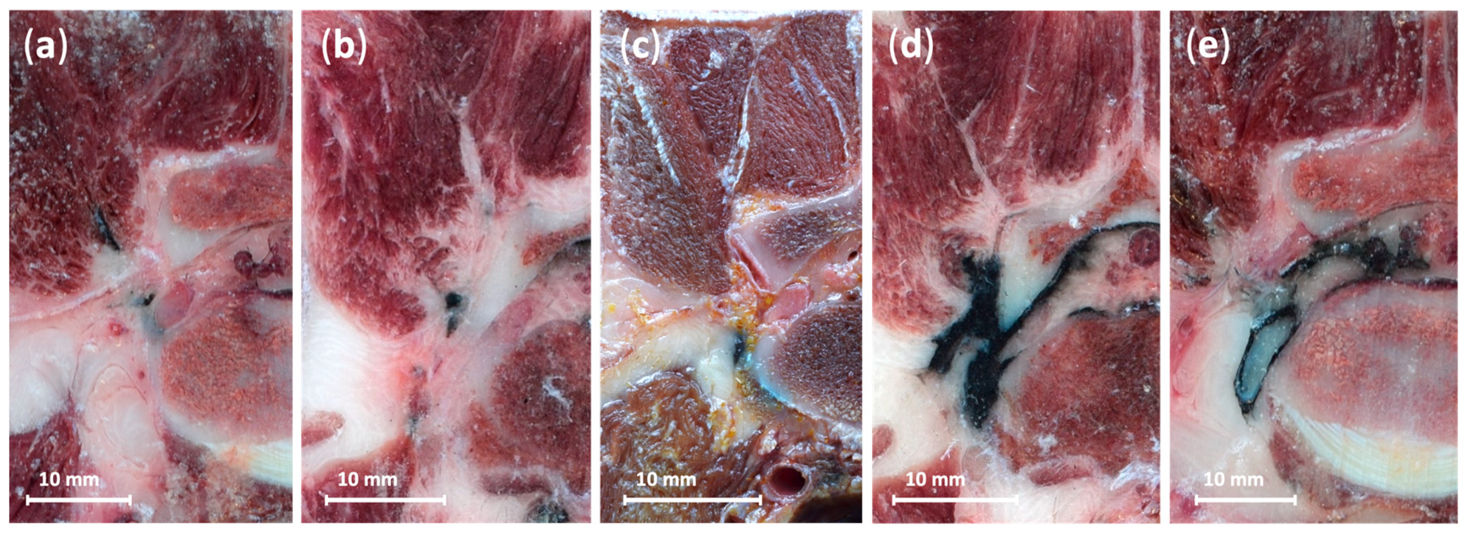 Animals 15 02586 g005