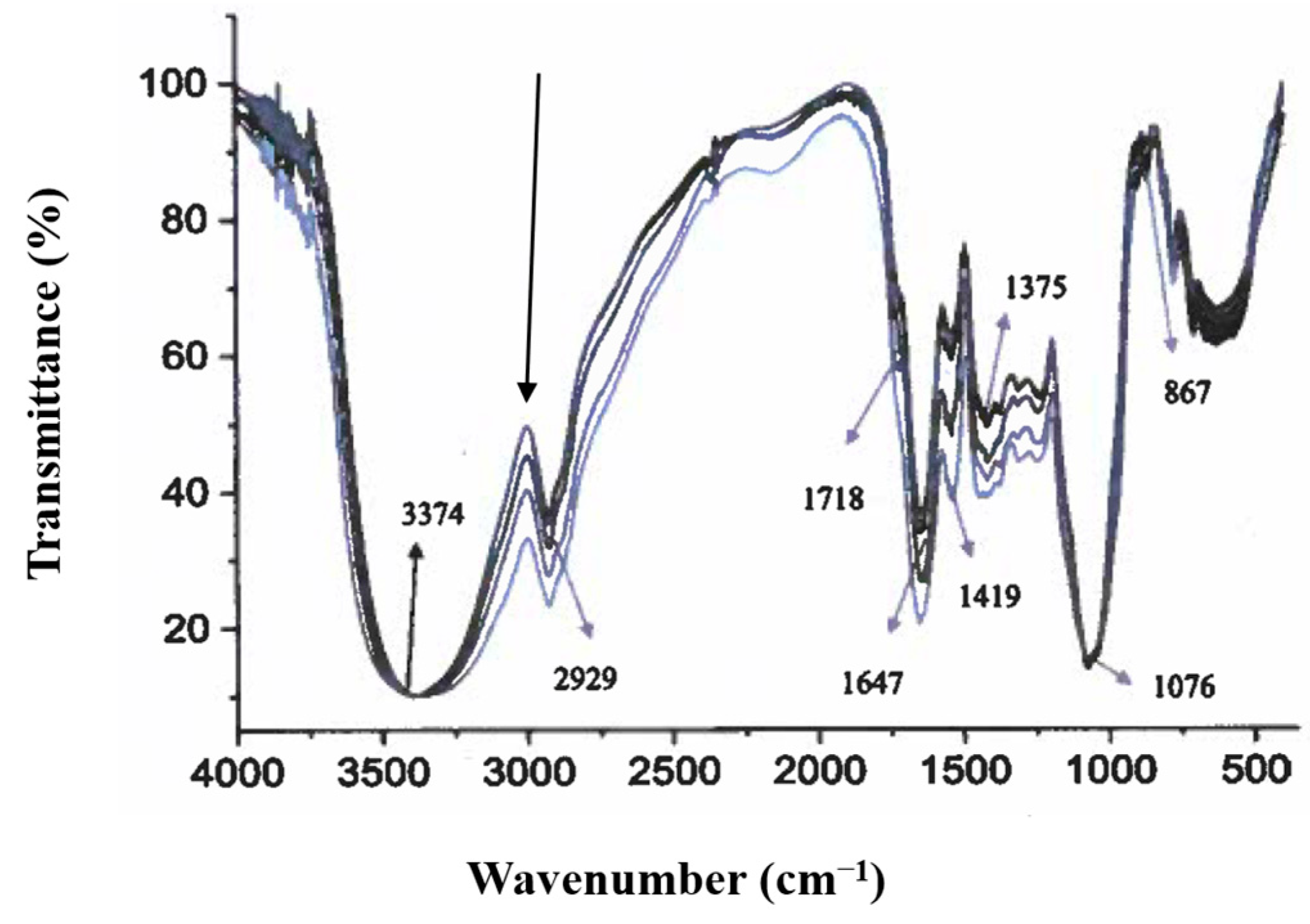 Animals 15 02588 g001