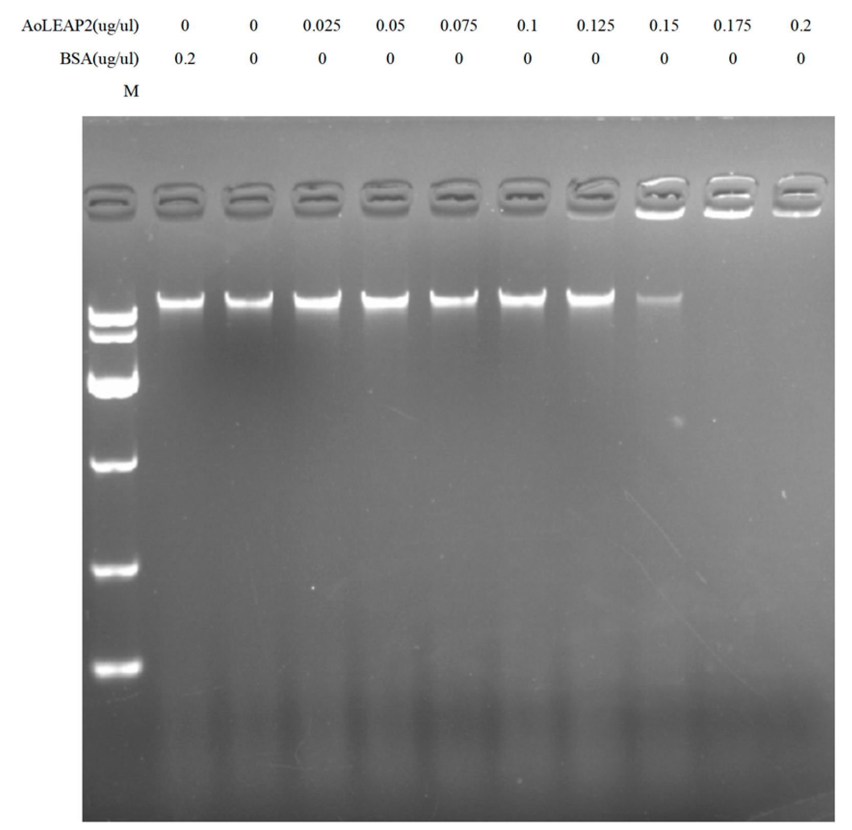 Animals 15 02590 g005 Animals 15 02590 g005